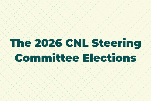 The 2026 Steering Committee Elections