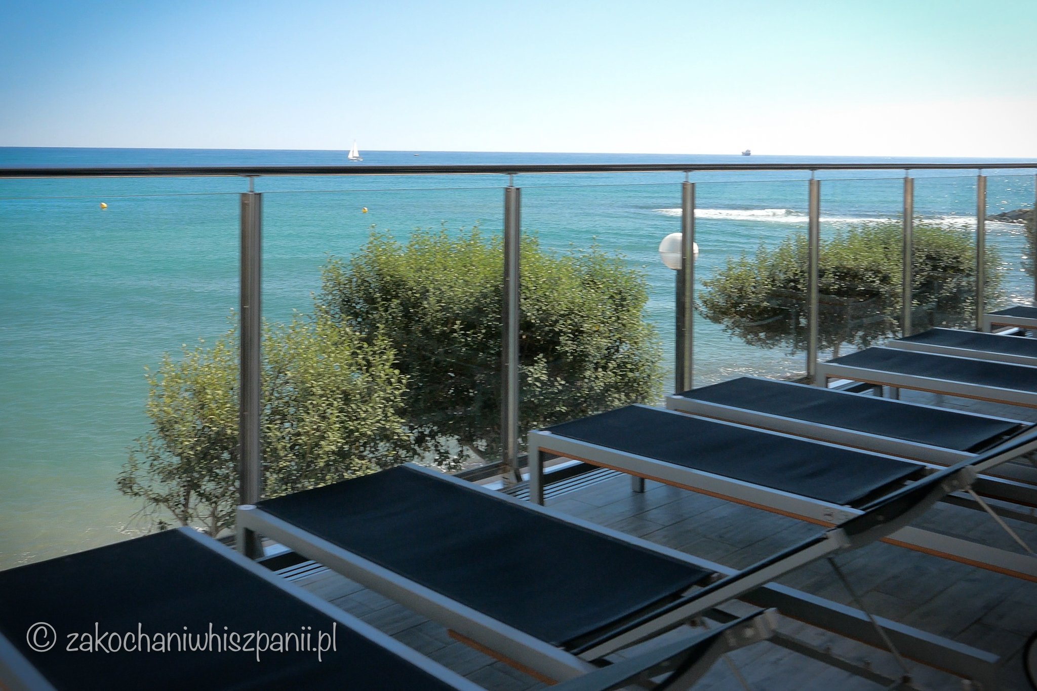 Widok z basenu, Hotel Melia Alicante