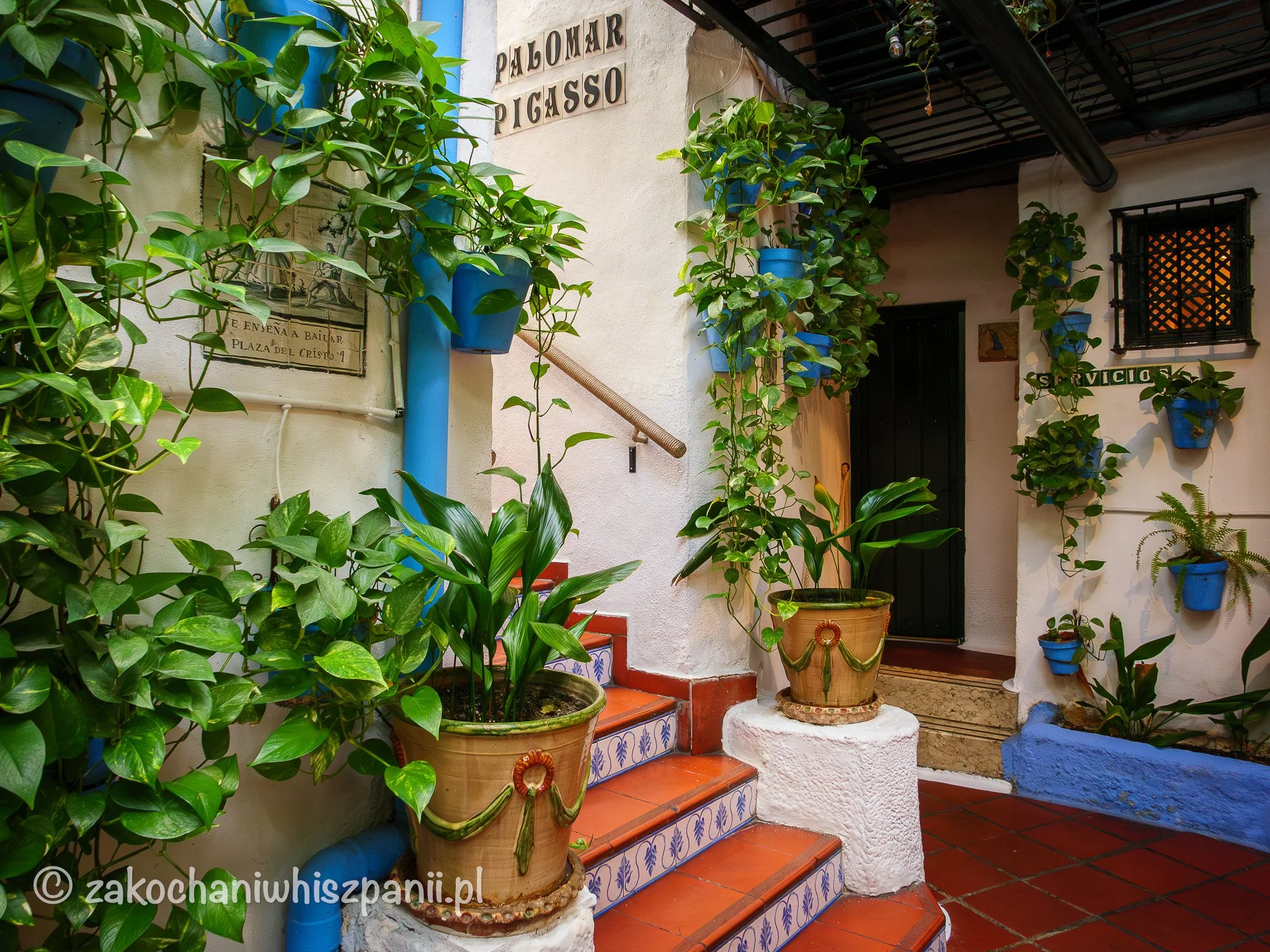 Patio, schody, kwiaty w El Pimpi, Malaga