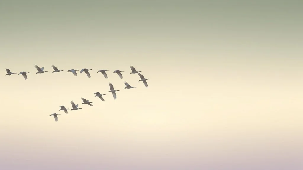 A flock of birds flying in the sky during daytime.