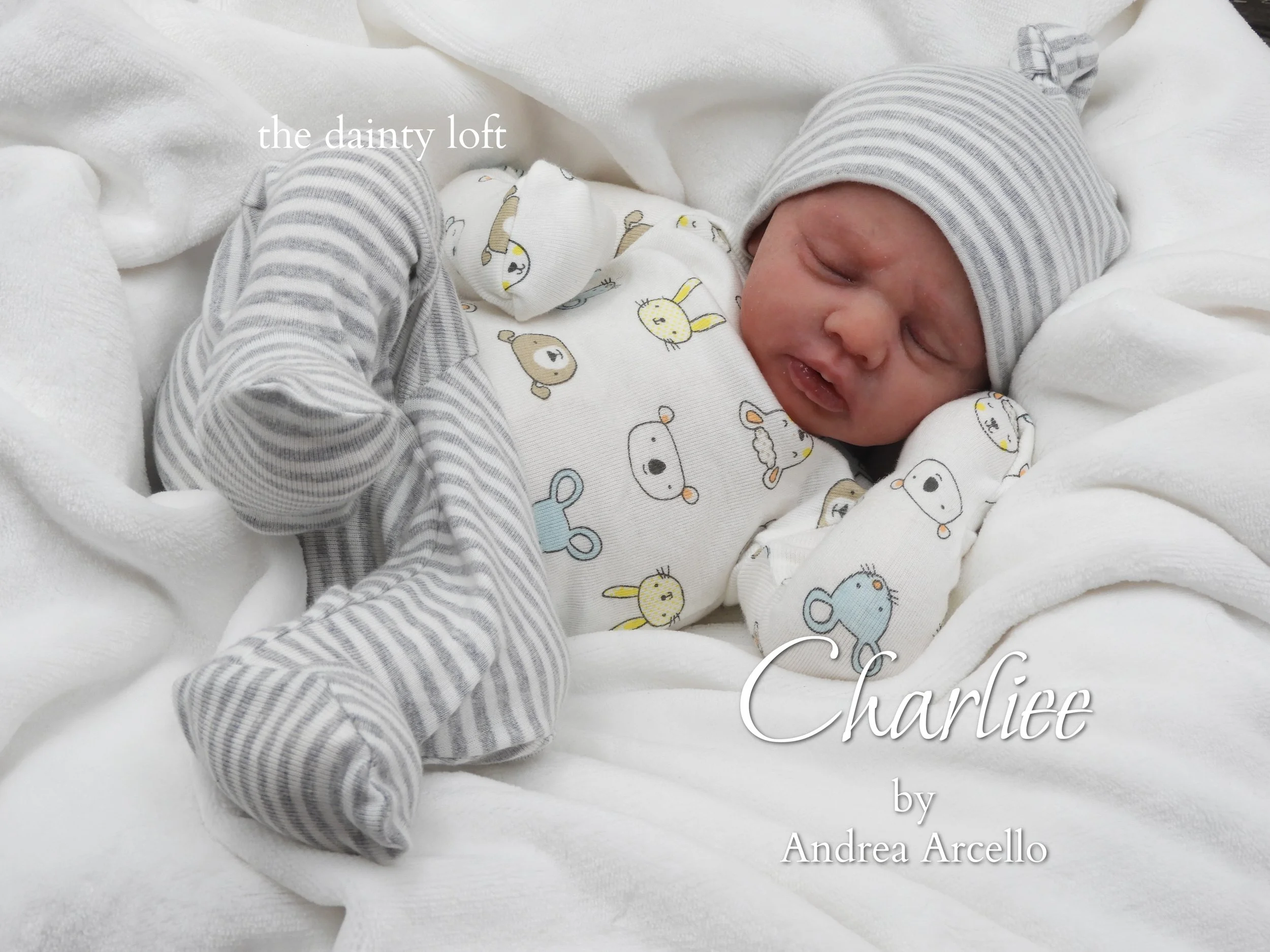 charlee17.jpg