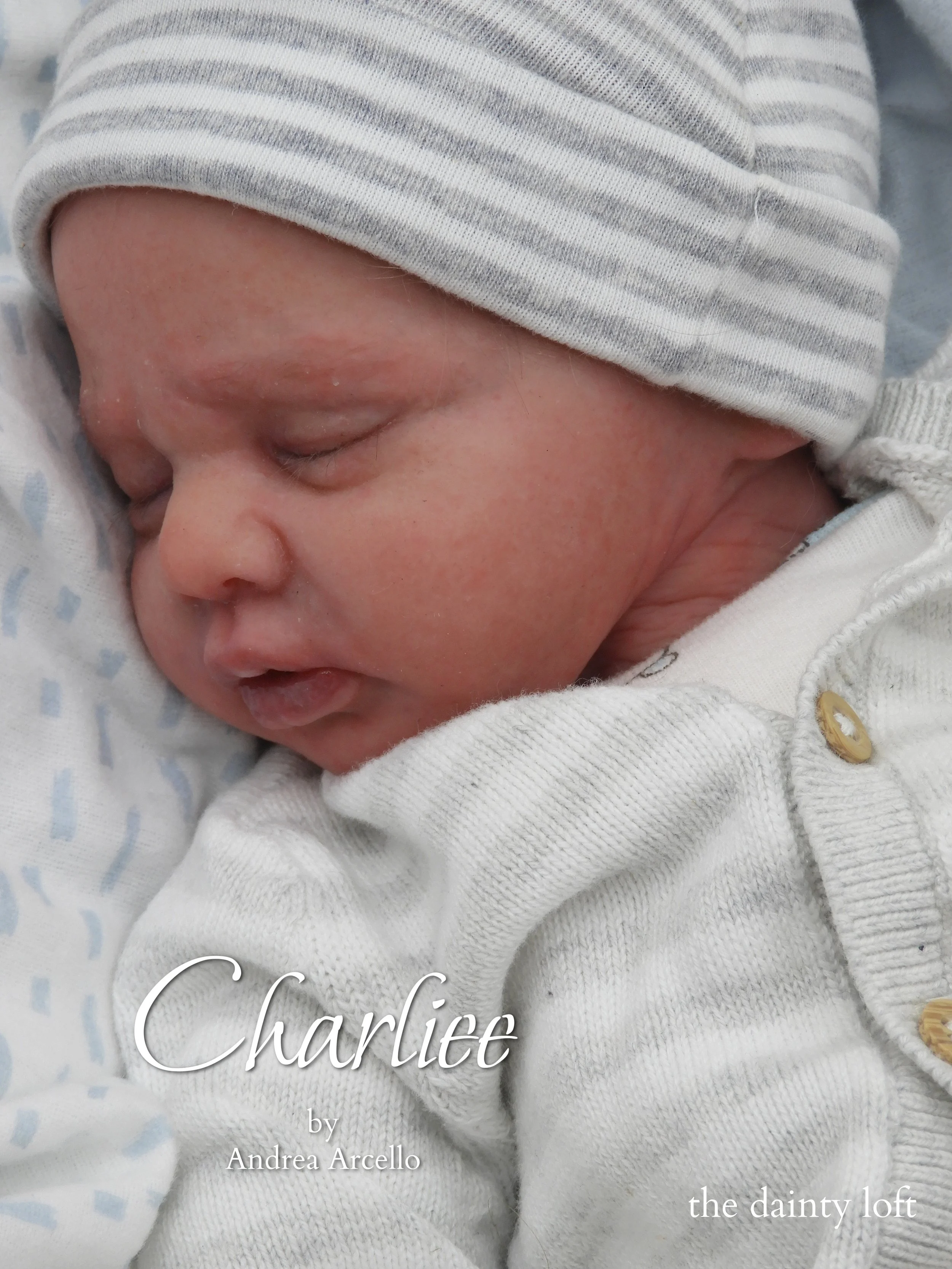Charlee by Andrea Arcello ~ PURCHASE HERE