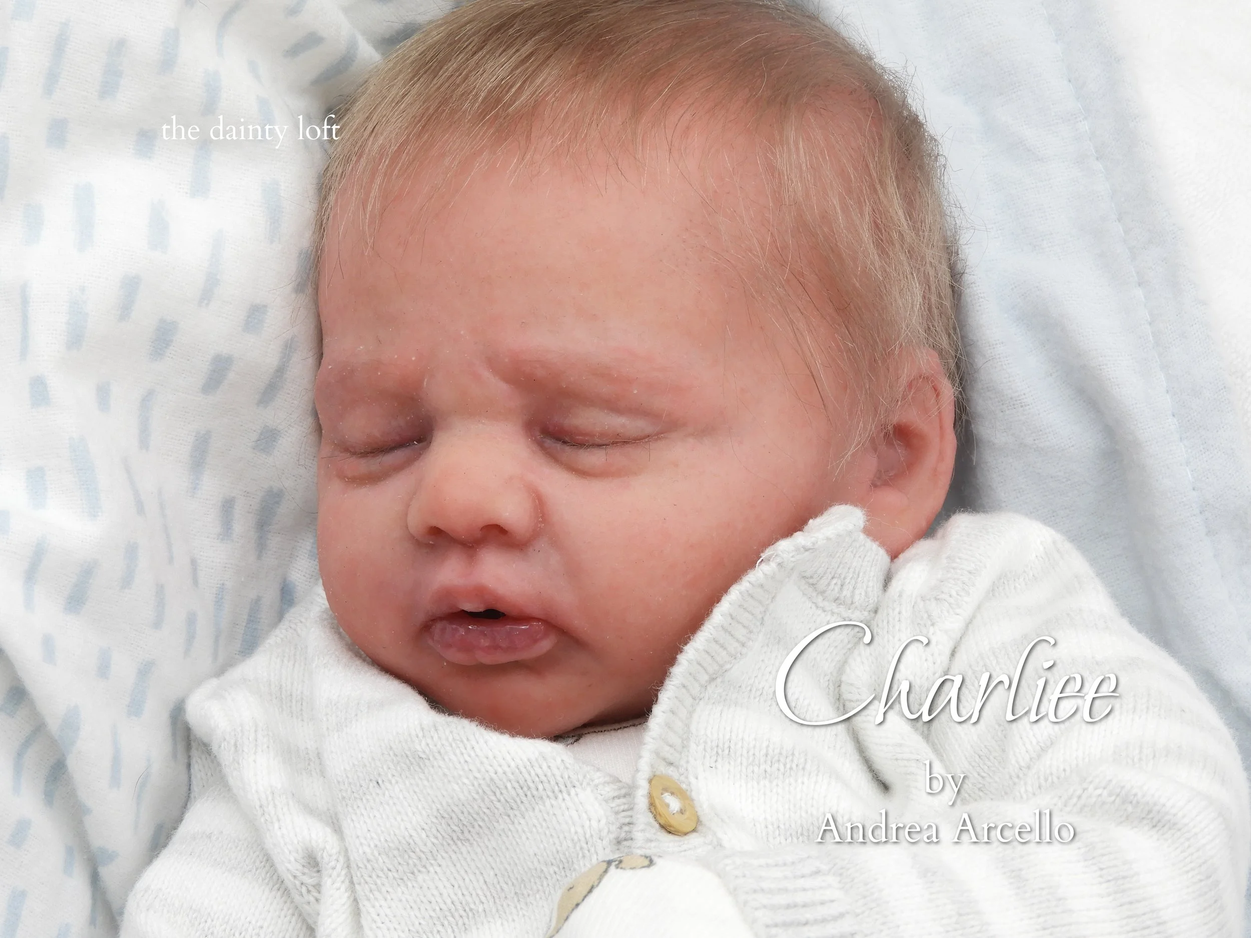 charlee40.jpg