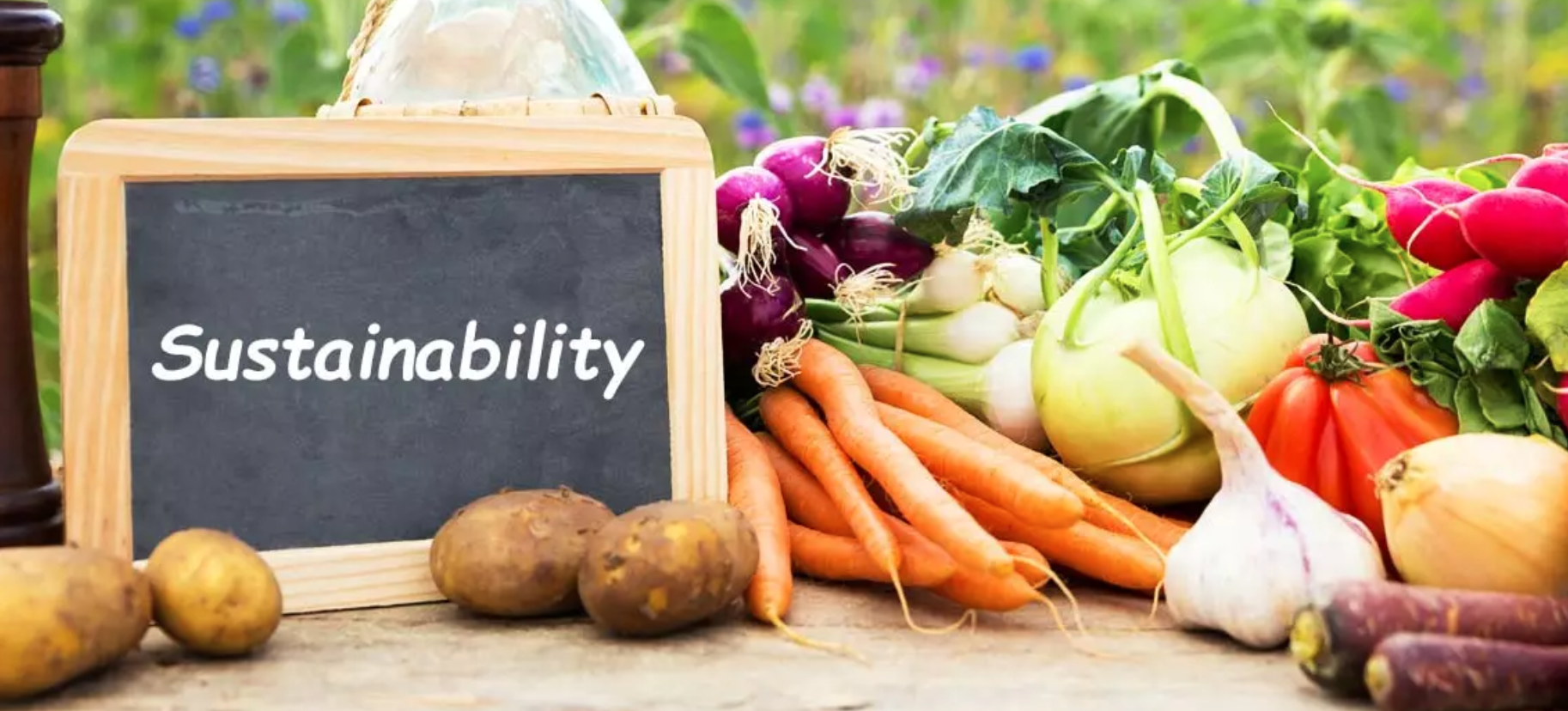 Sustainable Products Protect Your Environment, Health, and Future