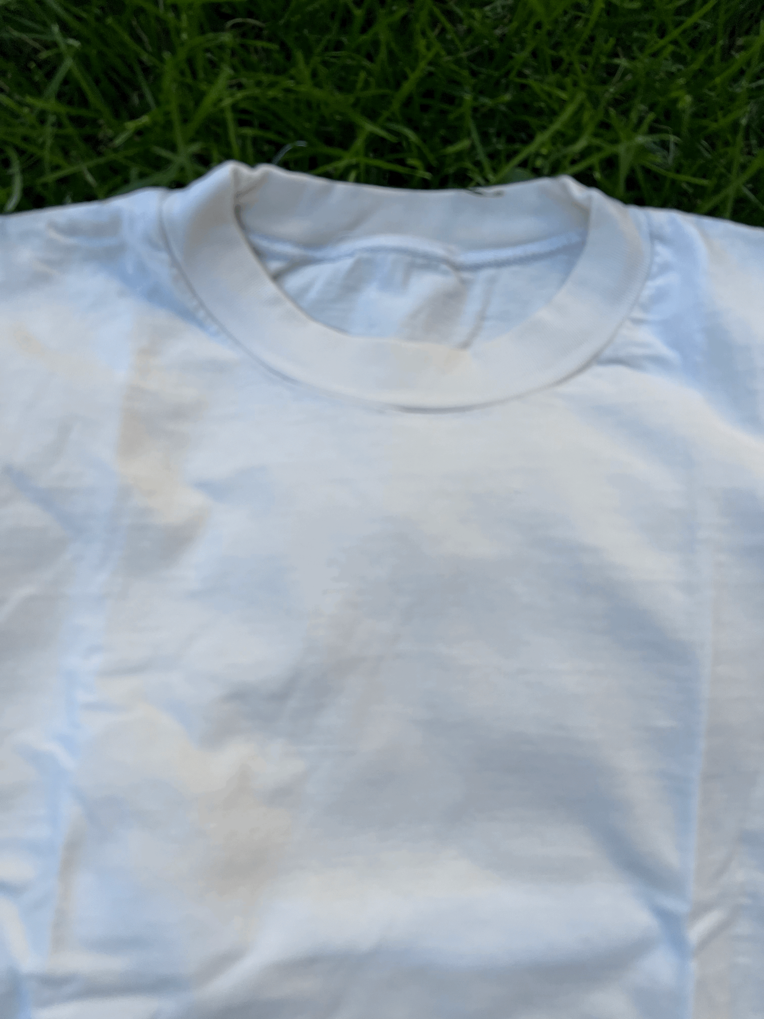 tempImagefeUSMX.gif