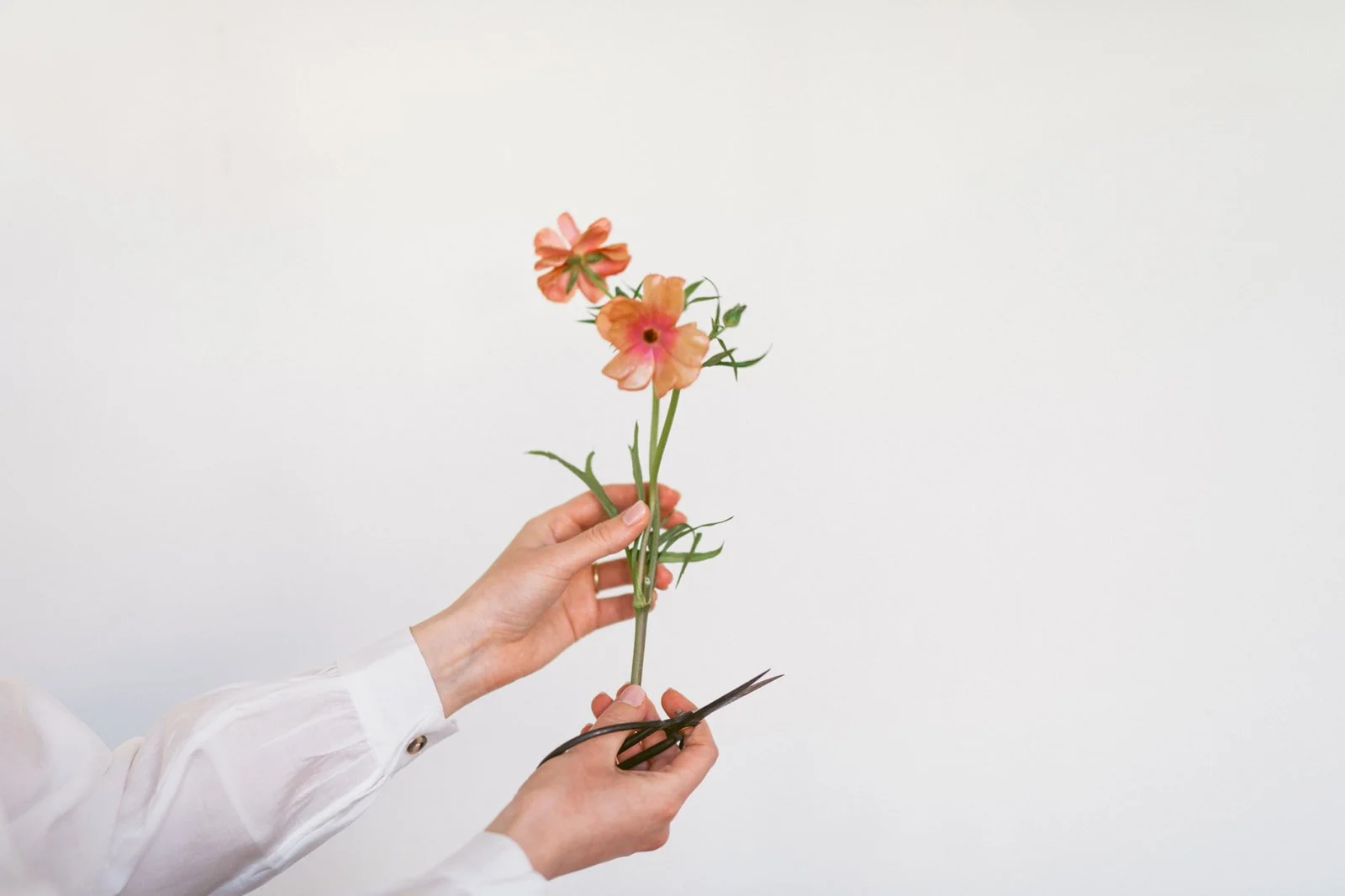 Seasonal ceremony florals designed by Cleveland-based floral designer Noma Florals.