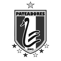 Swan logo with the word