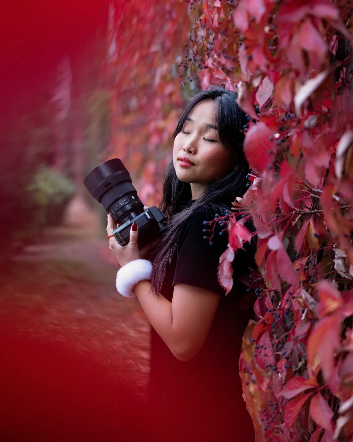Hawaii is amazing and I’m blessed every day I live there.
But one thing we don’t get there is Fall Colors. 
So for this 5 day trip to Seattle- I enthusiastically captured shots of the Fall Colors in Seattle.
In this shot,
 Red vines cree