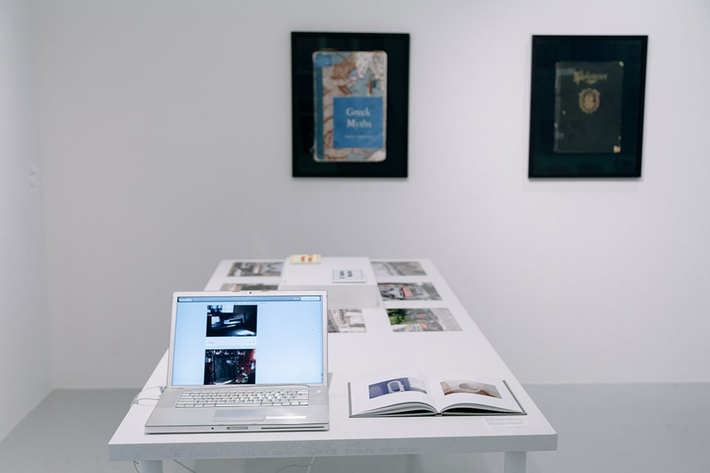 Eric Oglander, Craigslist Mirrors, 2013- Ongoing, 2016, Website and Hardbound Book (Center/Front); Edie Fake, L'il Buddies Vol. 1; L'il Buddies 2,	2013, zine, silkscreen cover with full color offset images (Center/Rear); Sanaz Mazinani, Works from Bo
