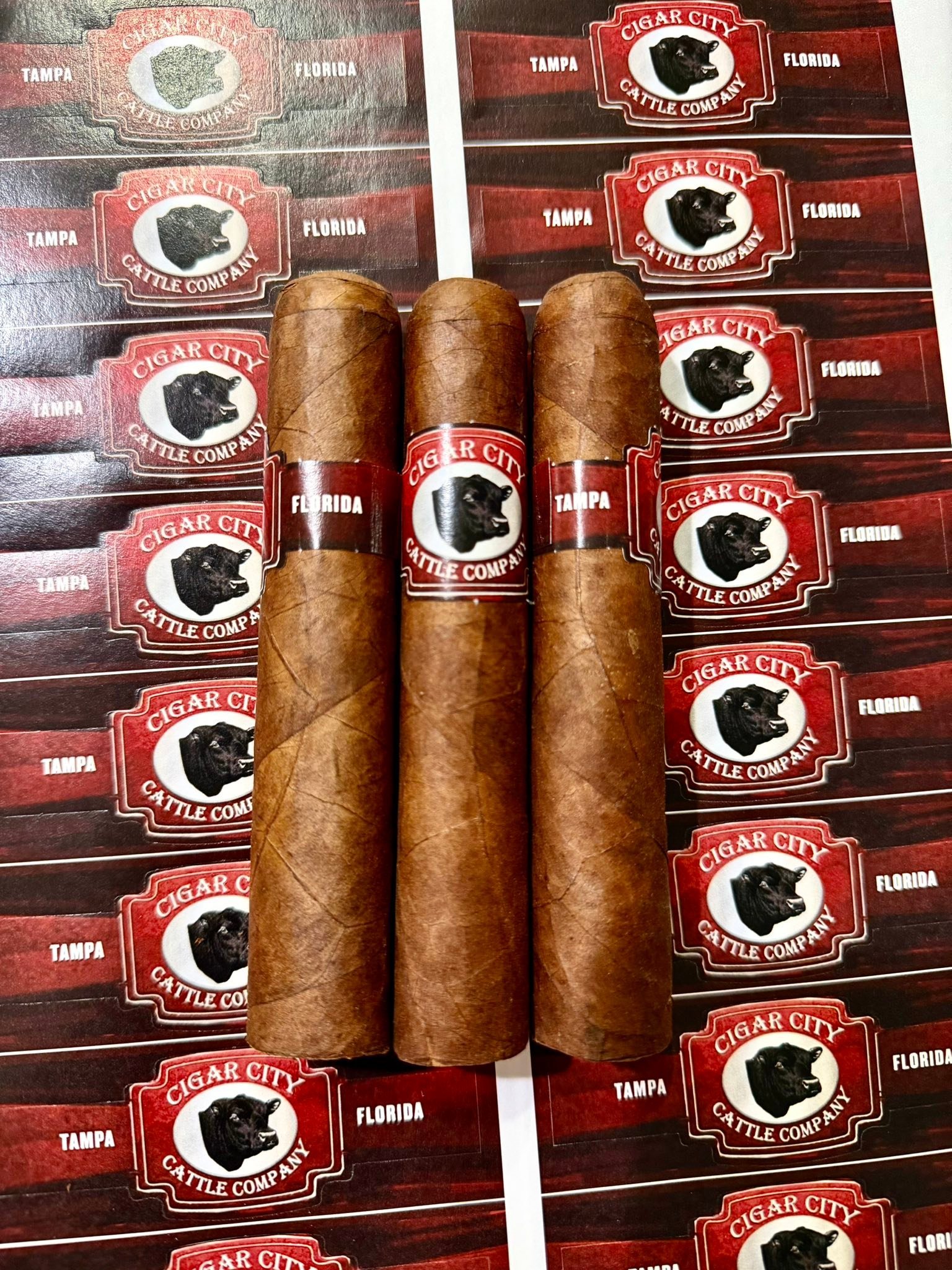 Getting closer ! Most people don&rsquo;t know that the Cigar City Cattle Company logo is a real cigar band. Cattle will be available for viewing every morning next week. Come see some Smoking Hot Registered Angus Cattle.