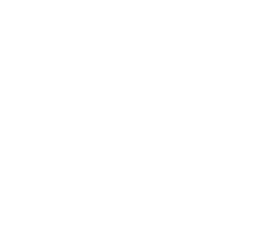 vinis.png
