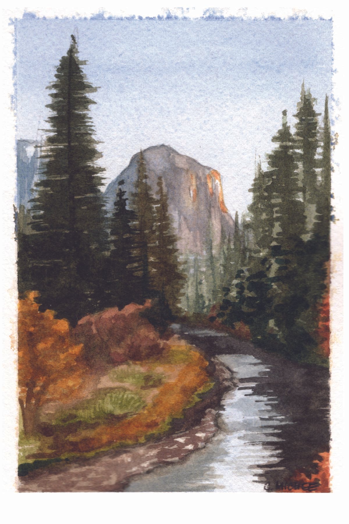 10 postcards - california forests-05.jpg