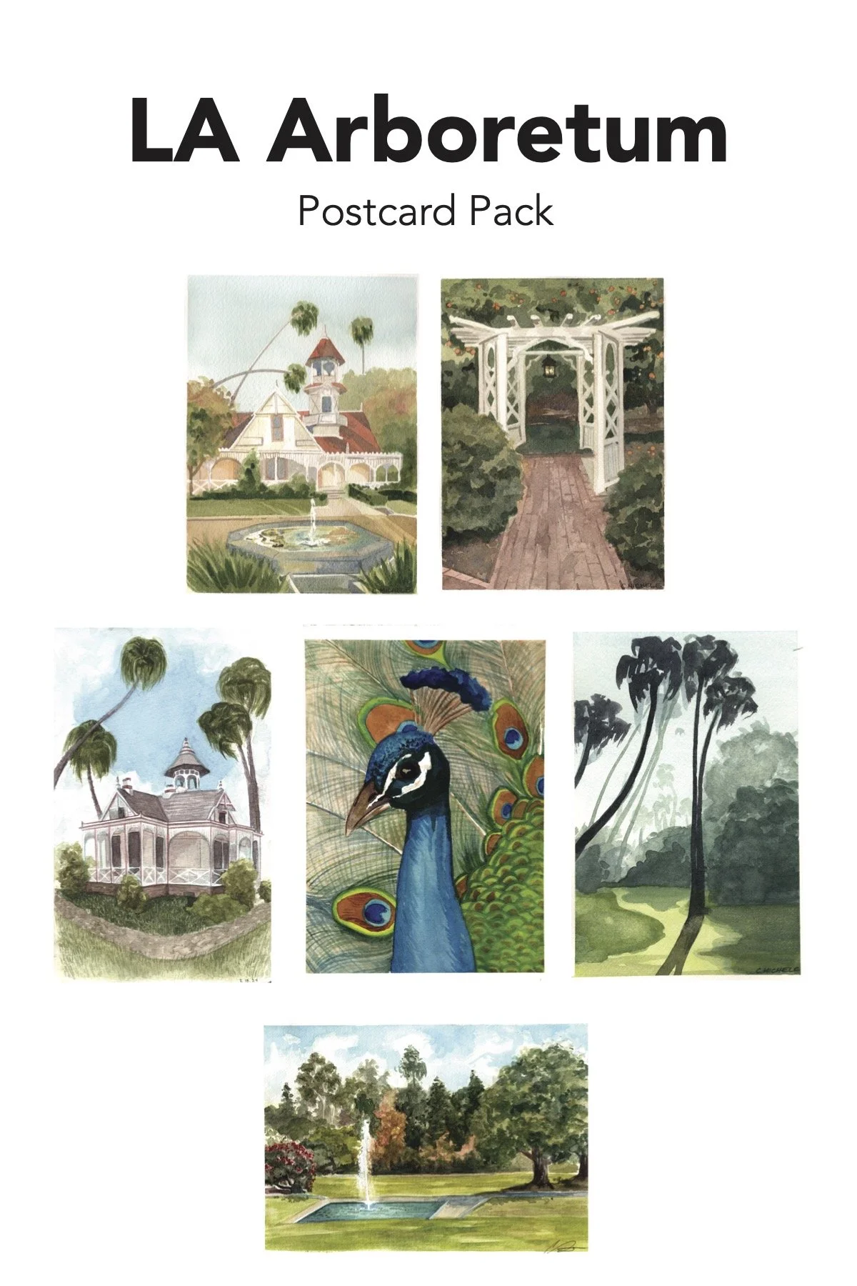 postcards - arboretum backer.jpg