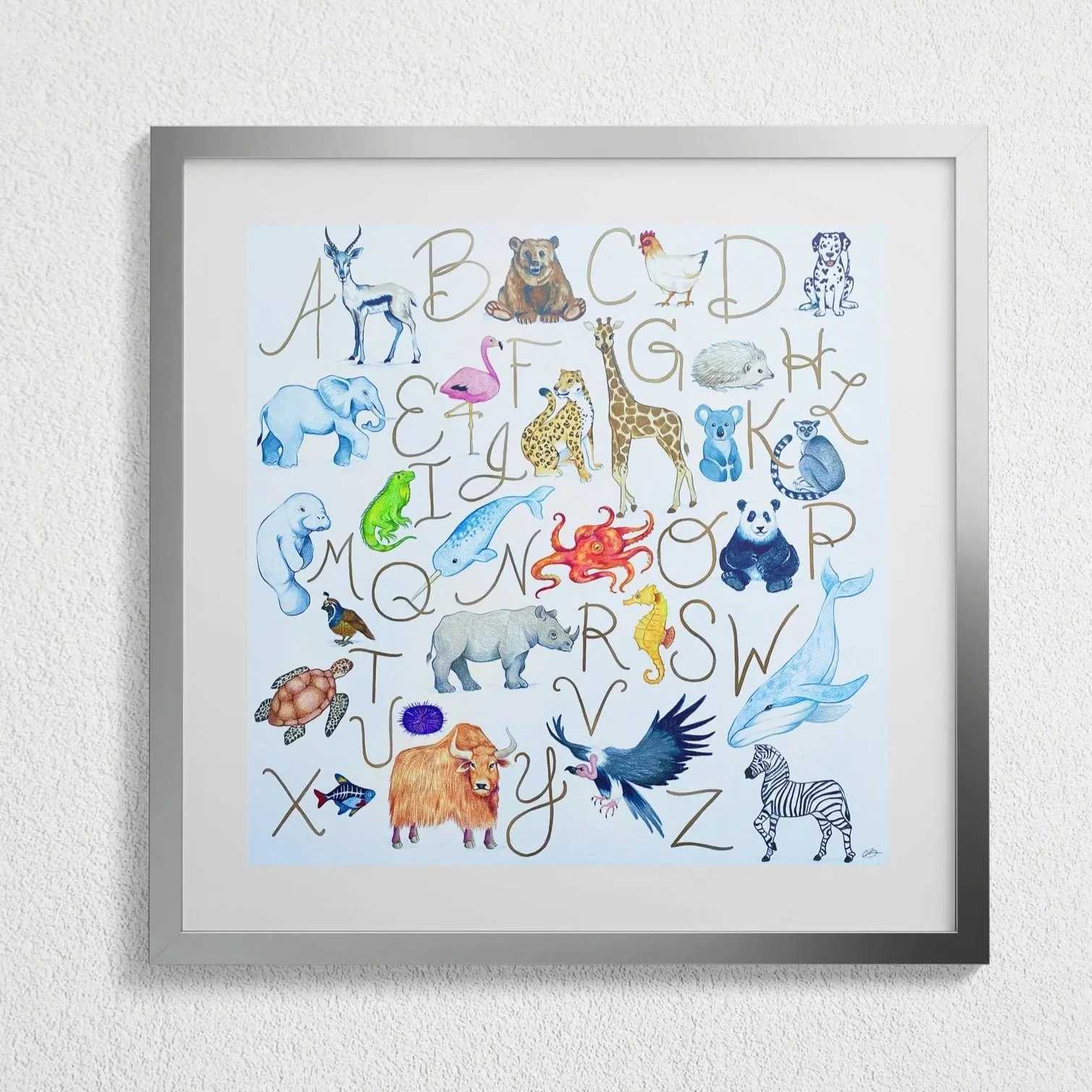 Children's Illustration
