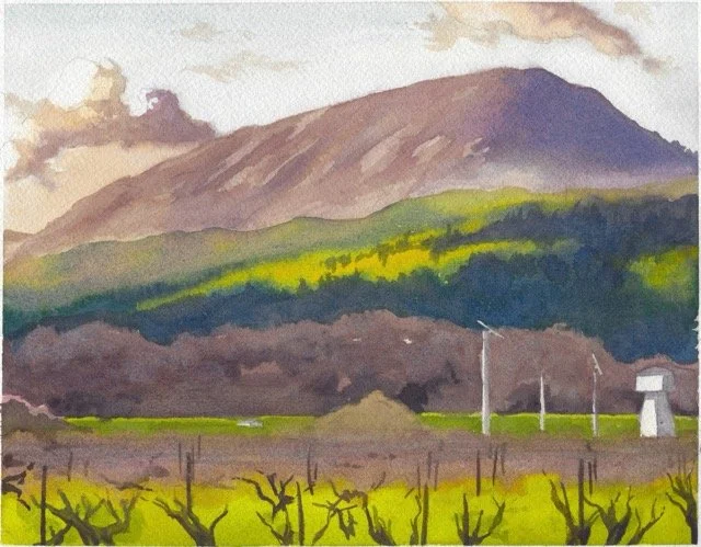 2025 watercolor - 11.17.25 - napa Medium.jpeg (Copy)