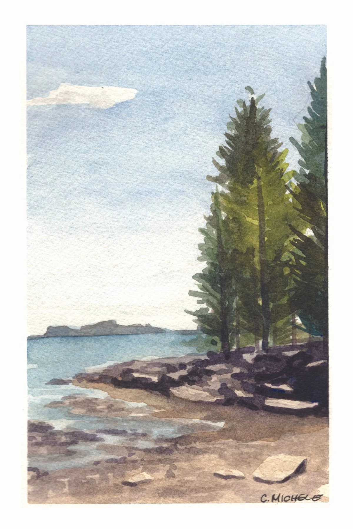 10 postcards - california forests-04.jpg