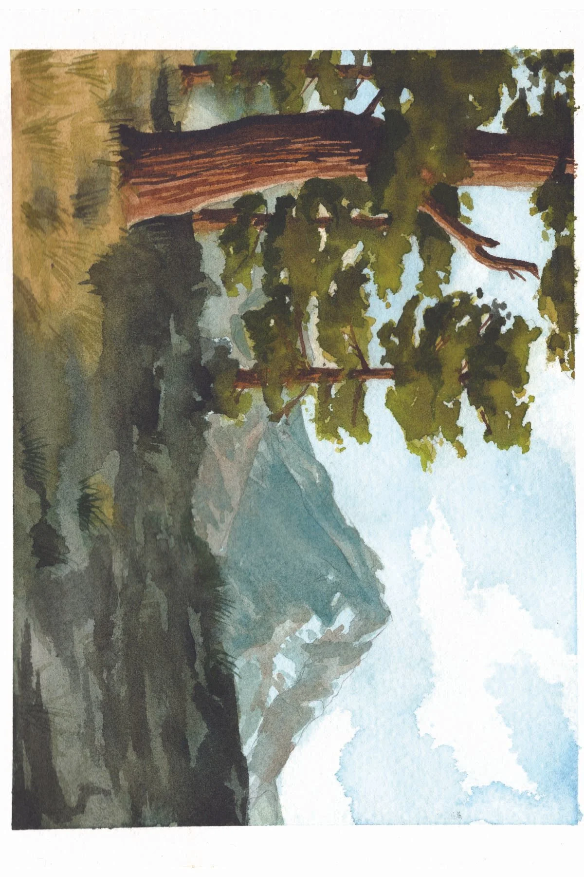 10 postcards - california forests-06.jpg