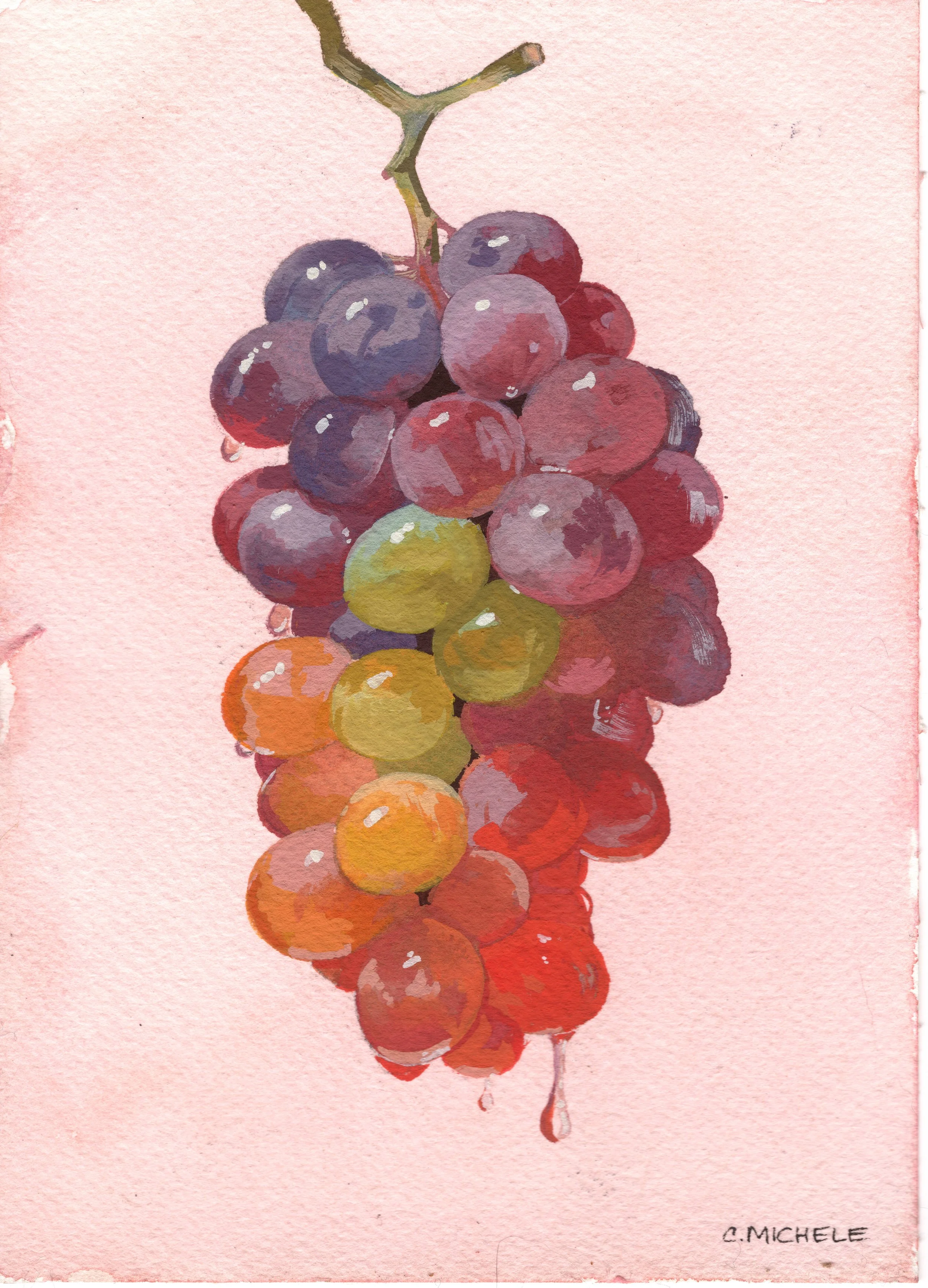 2026 gouache - 7.20.2026 - grapes on pink field.JPEG (Copy)