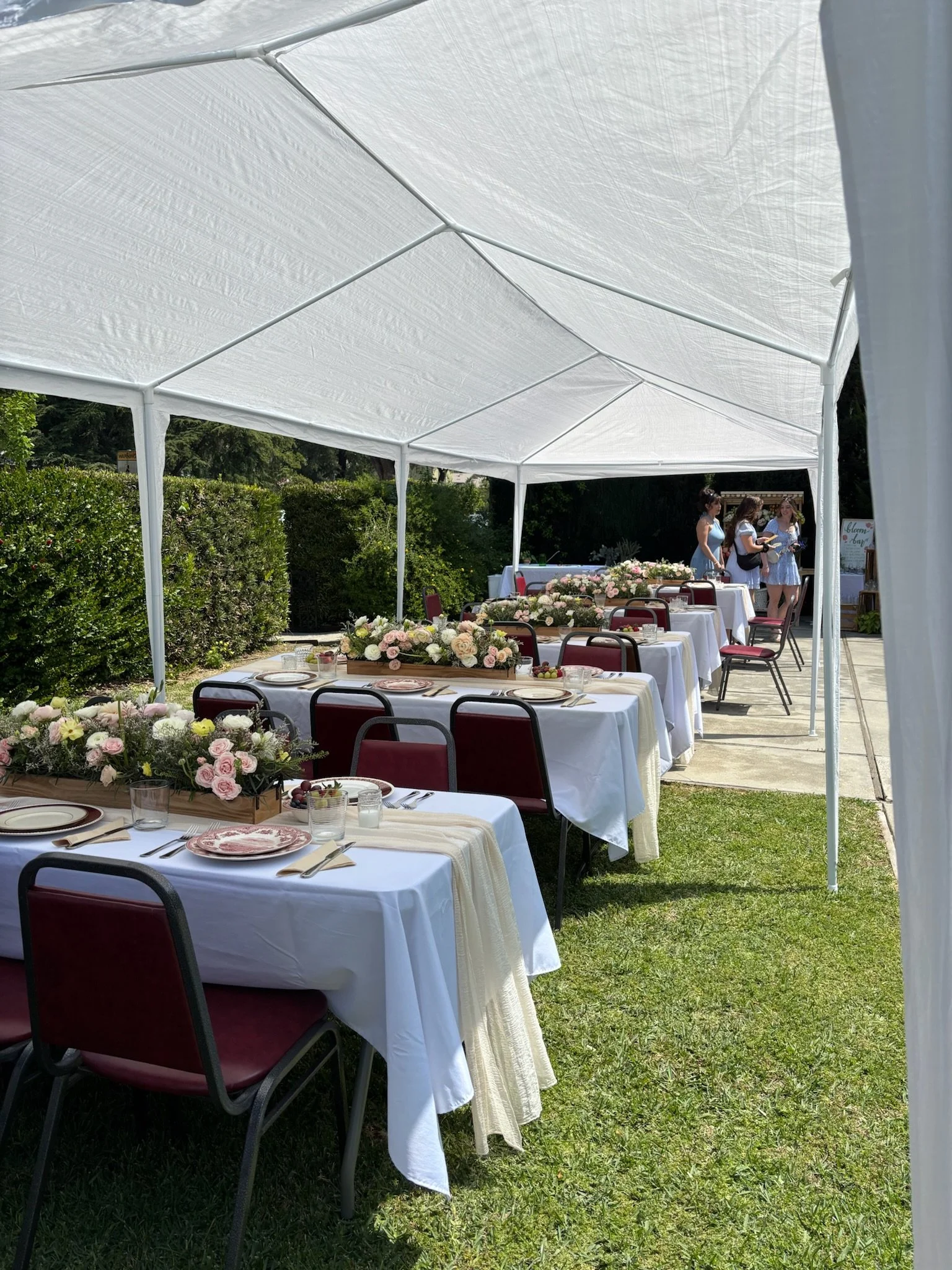 White Party Tent (10ftx30ft)