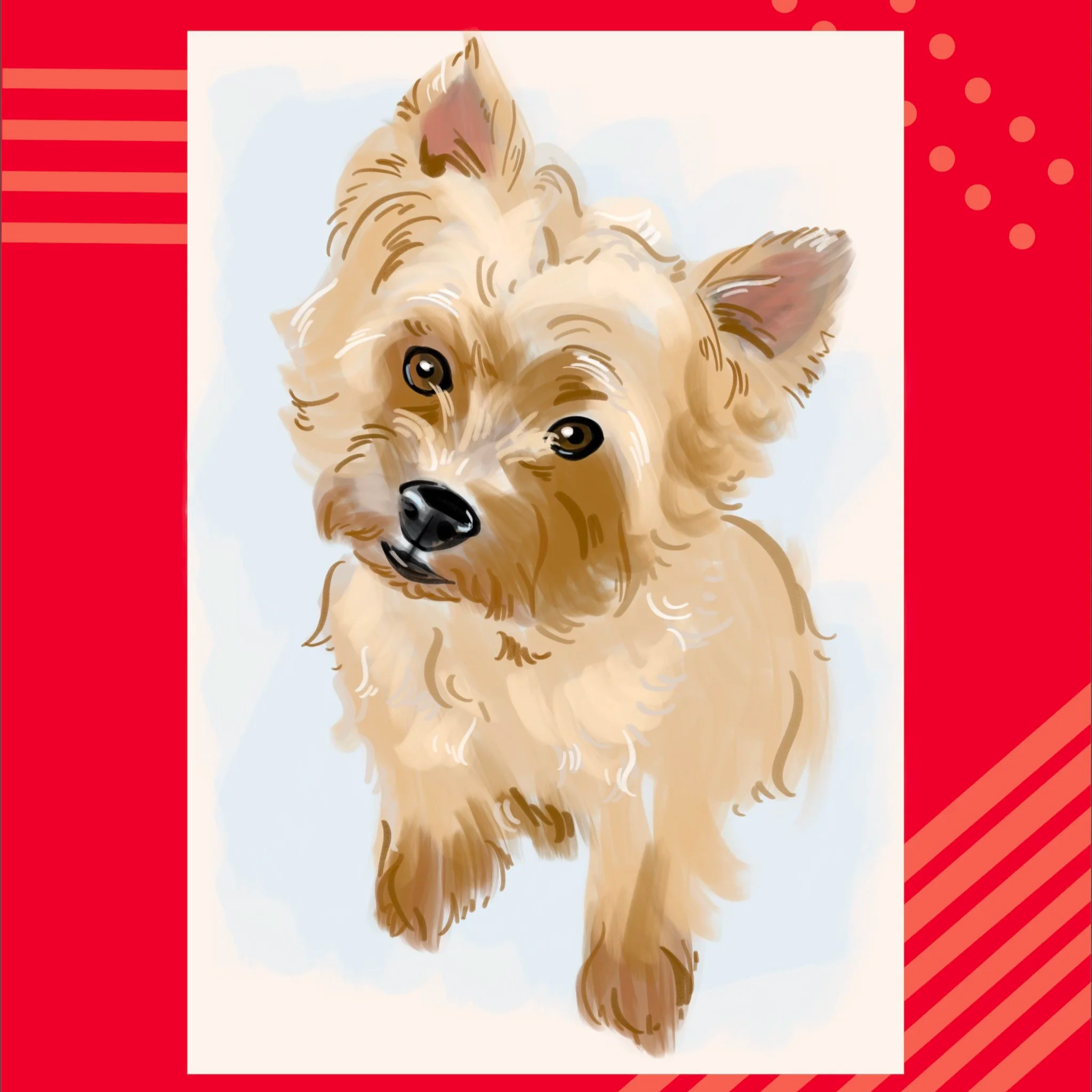 Purina: Digital Pet Portraits