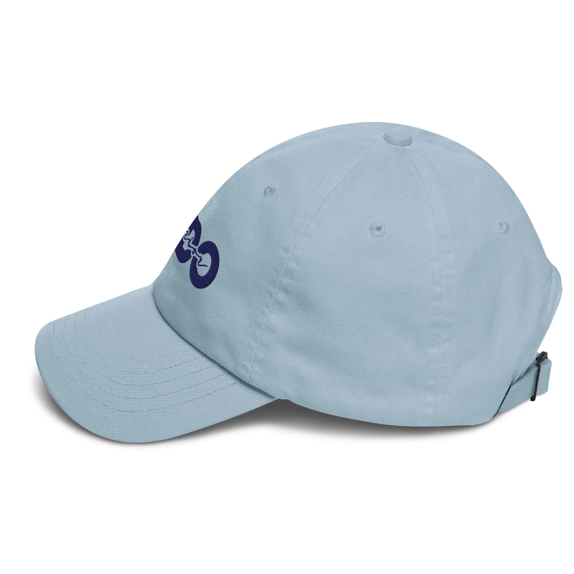 endometroiss-merch-classic-dad-hat-light-blue-left-69aecd200df99.jpg