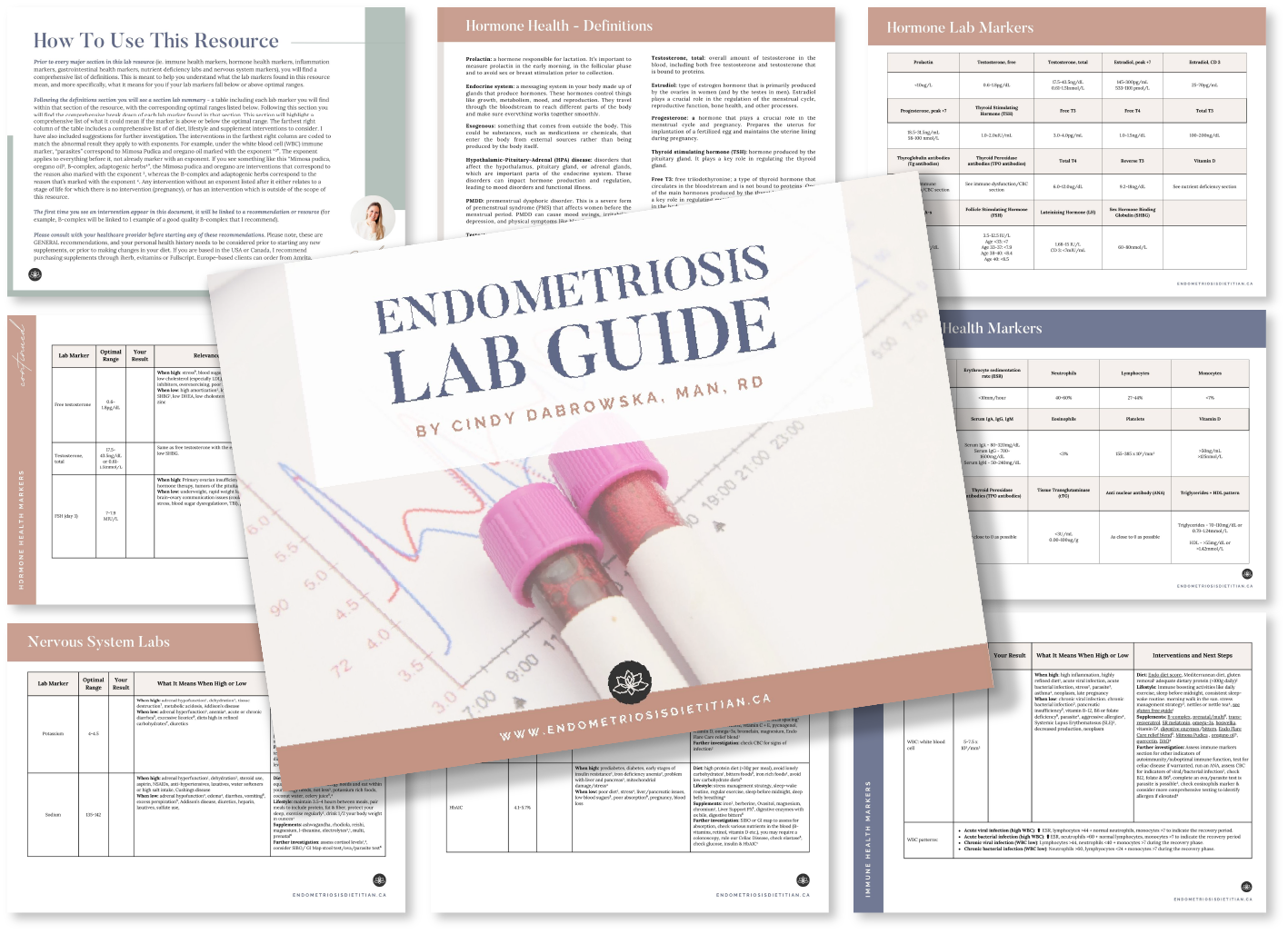 Endo Lab Guide — Endometriosis Dietitian - Endometriosis Specialist ...