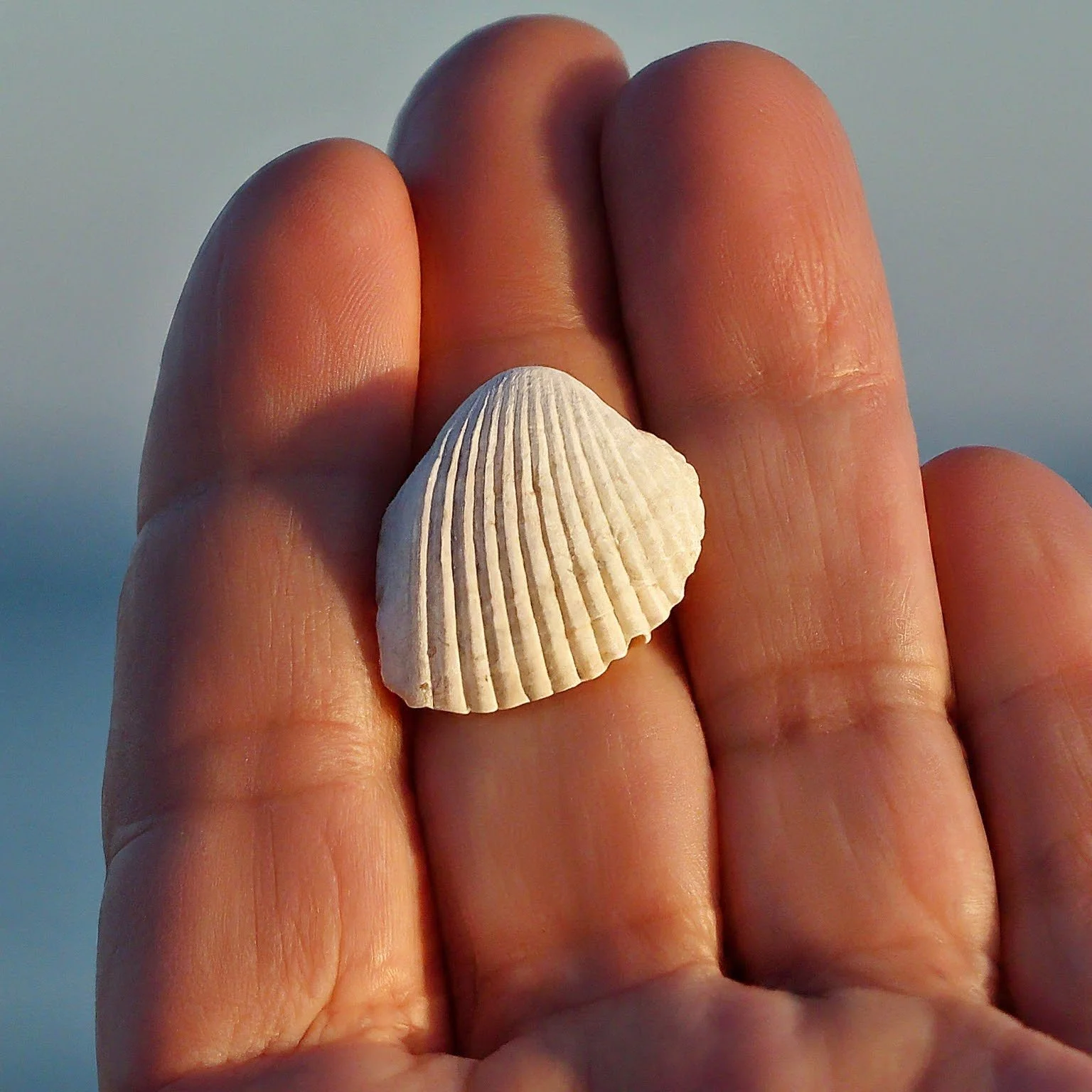 How to Have Simplicity: Biblical Hygge