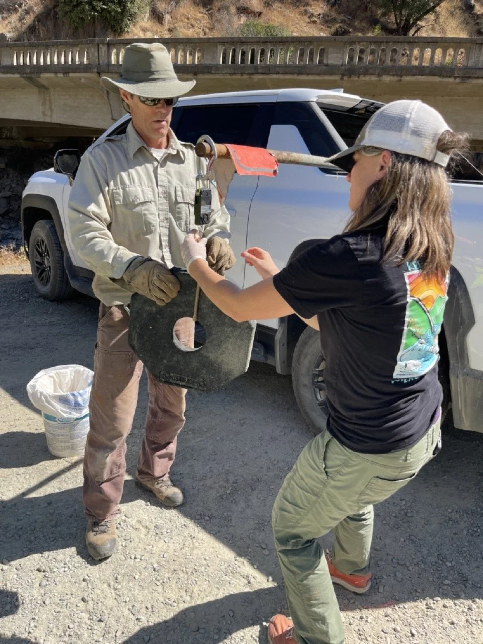 IMG_2531 2 Large.jpeg