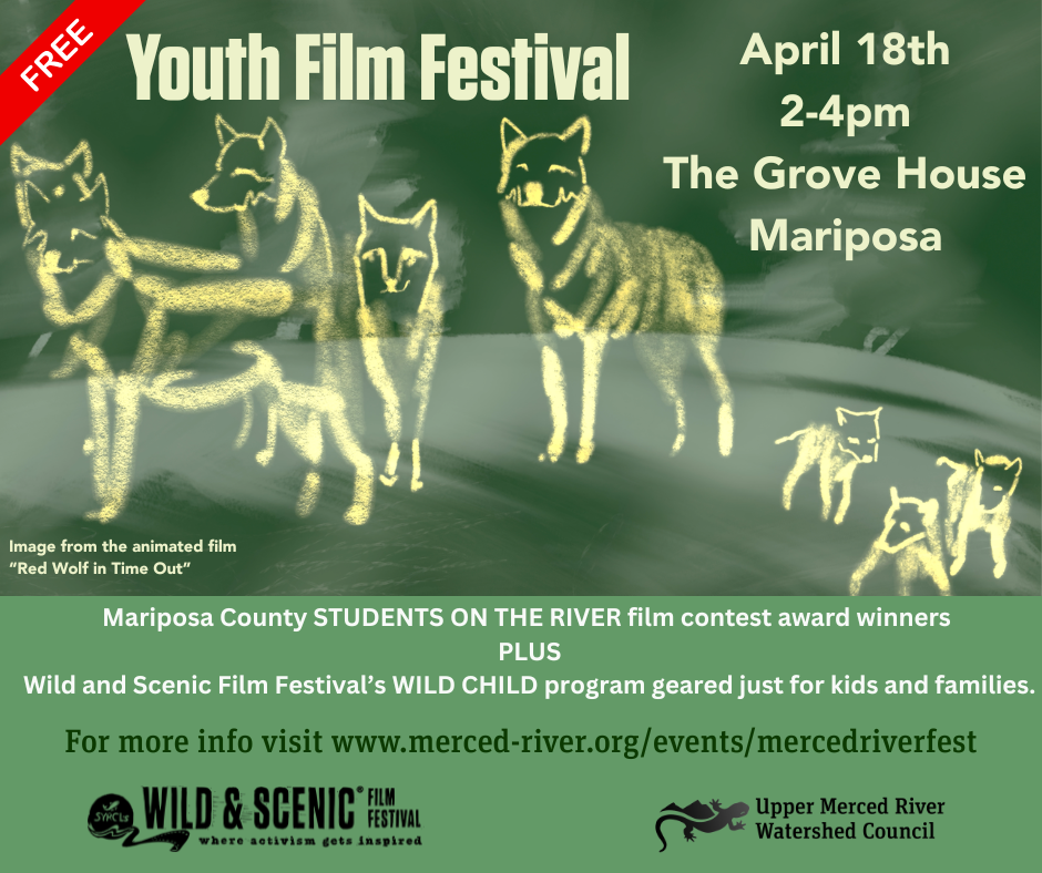 2026 FREE Youth Film Festival