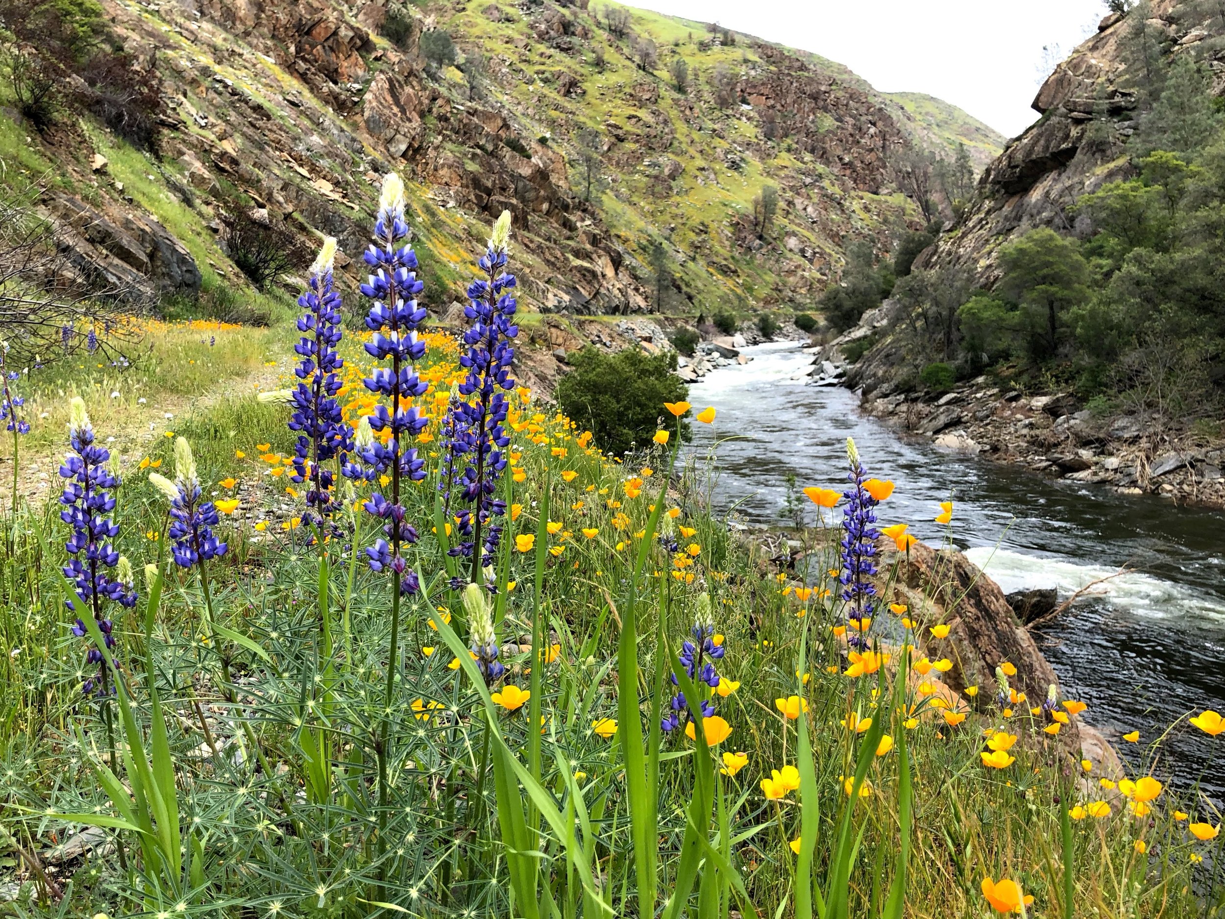 Merced River Trail — Upper Merced River Watershed Council