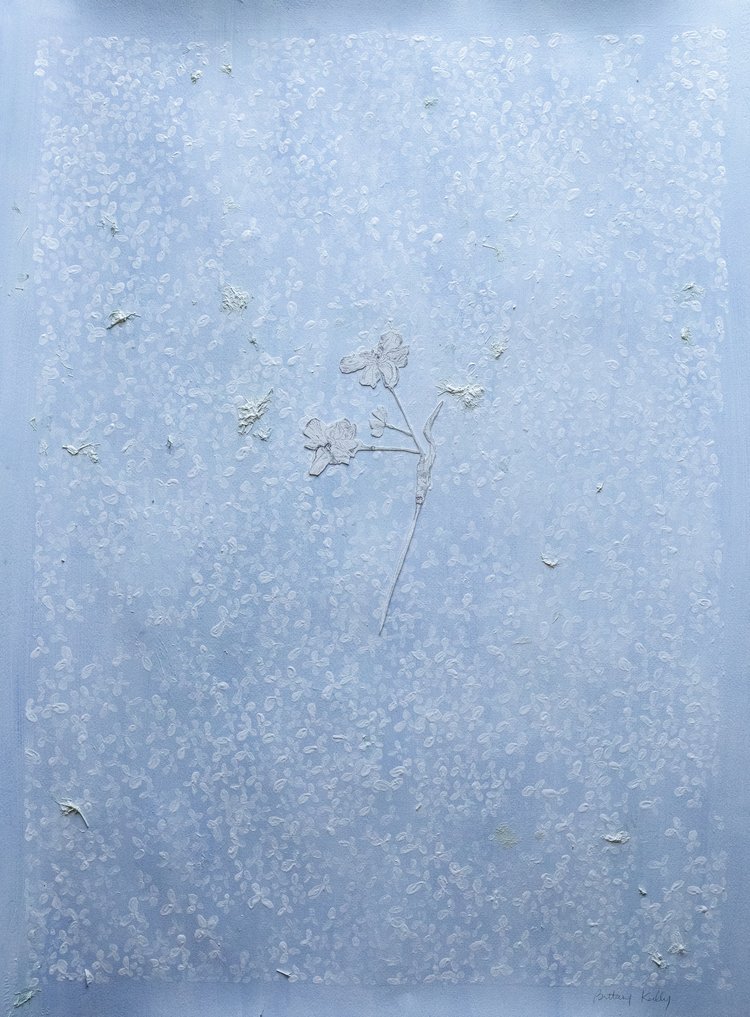 %22eden%22,+22.5+x+30,+watercolor,+acrylic,+preserved+hydrangeas,+and+pencil+on+arches+paper,+$1215+.jpeg