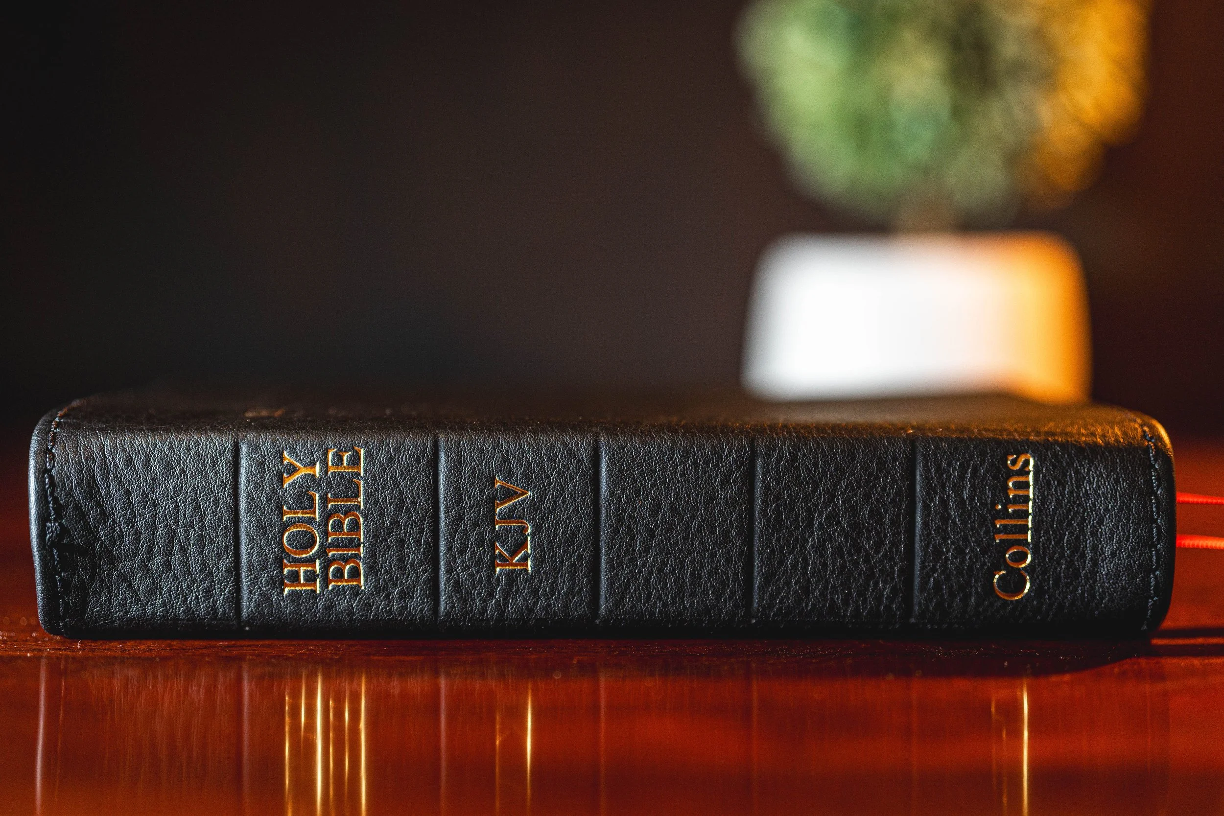 B_Hide Bible-7.jpg