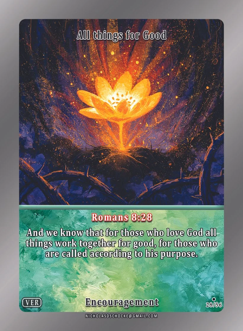 28/56