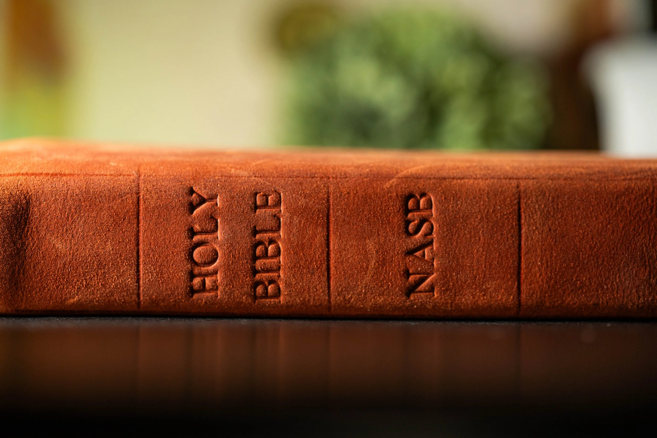 Bible-3.jpg