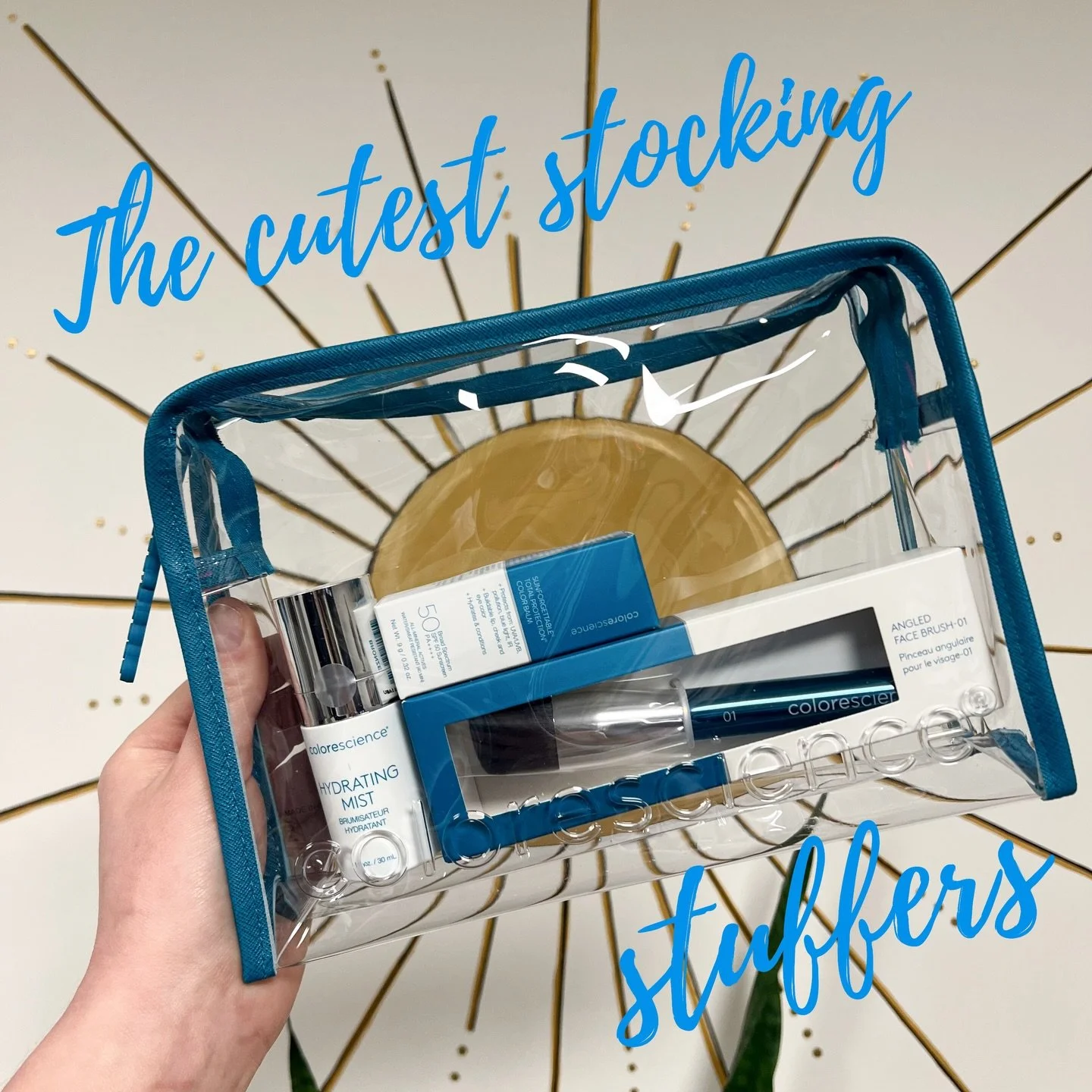 Need a little gift hint? Send this to your partner or parent 👀

ABS BAG (Apply, Blend, Set!) - $65 
Add a little color this winter with a buildable Bronze Color Balm 🌞

Total Lash Treatment - $52
Purchase a Total Lash Mascara in black and receive a