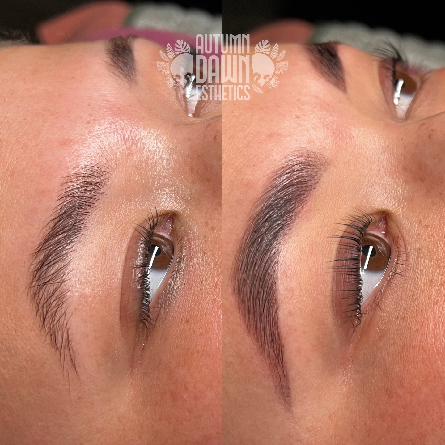 K-Lift + Brow Trifecta 🤤 

Regular brow and lash treatments means being able to go longer between appointments! The lift slowly builds more over time and your brows keep their softness and will stay in place longer 🤌

* this client had their brows 