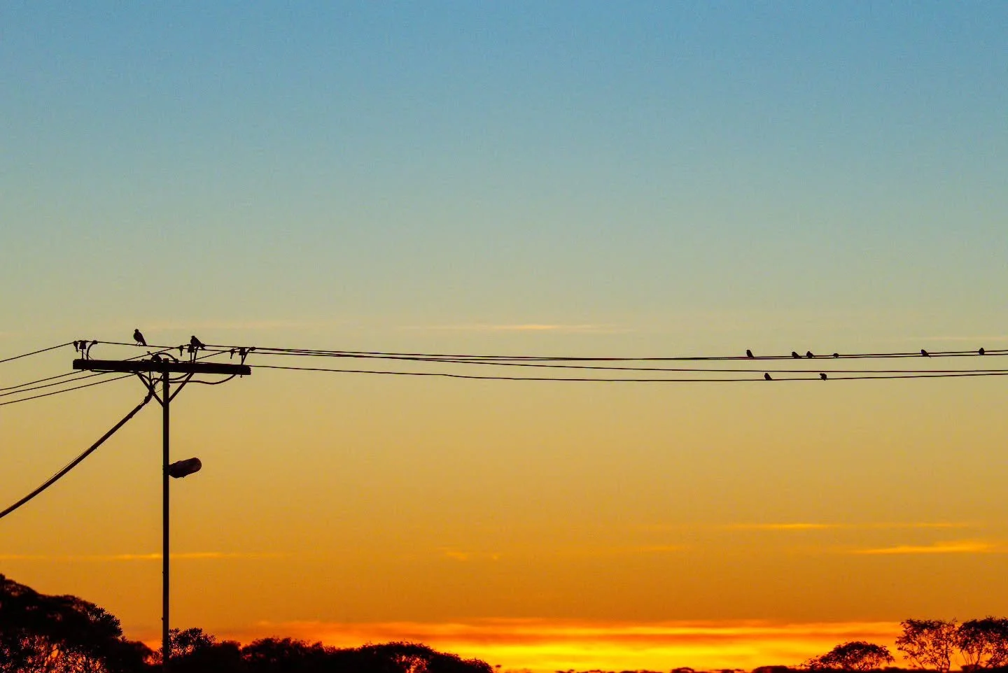 Sunset &times; Eucla 

#westernaustralia #photography #birdsonearth #naturephotography #sunsetphotography #sunsetlover #nullarbor