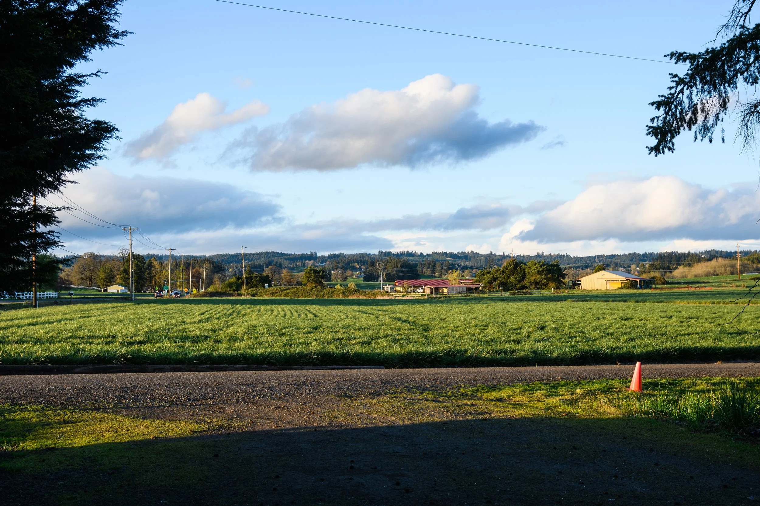 DSC_1626.jpg