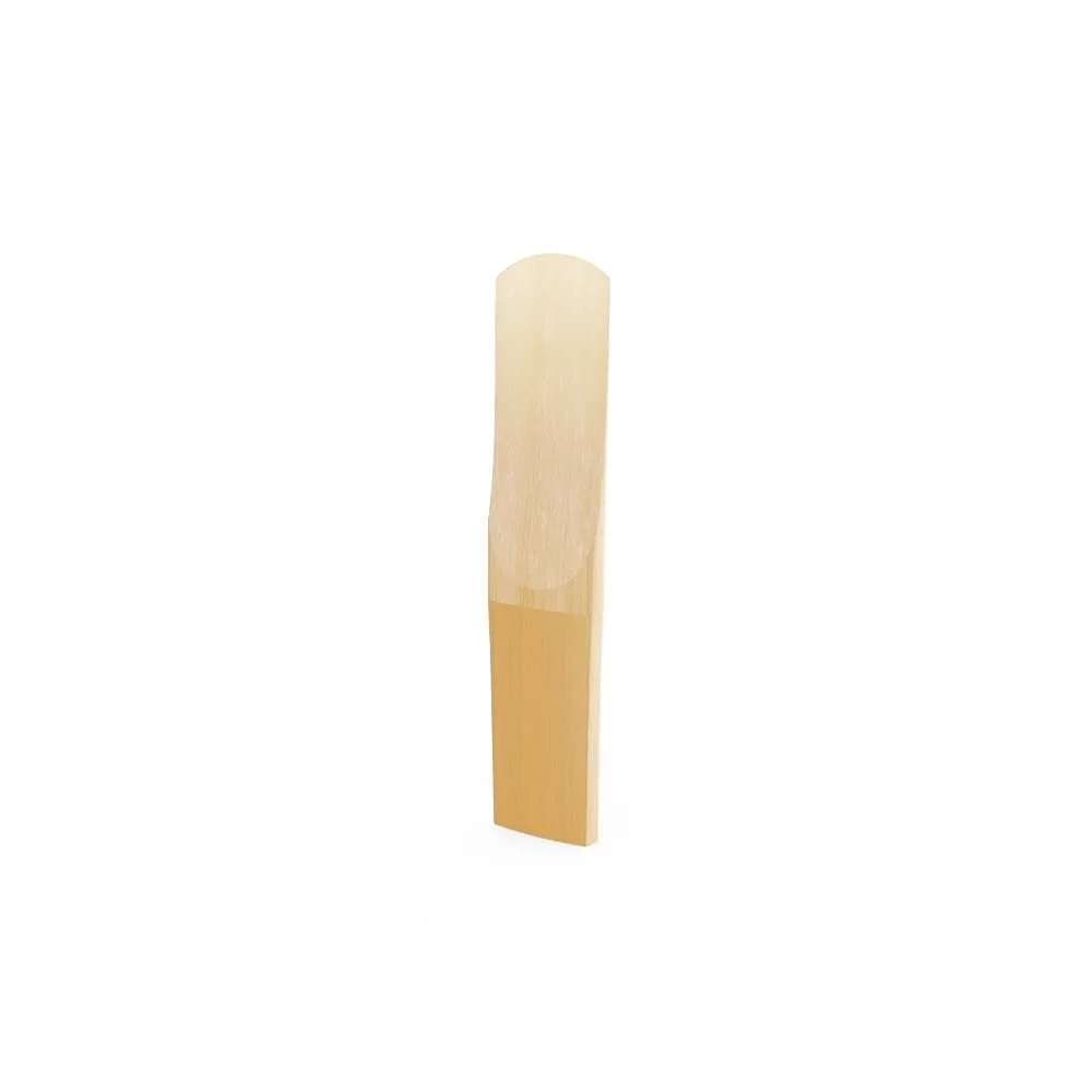 Reed File Angled.jpg
