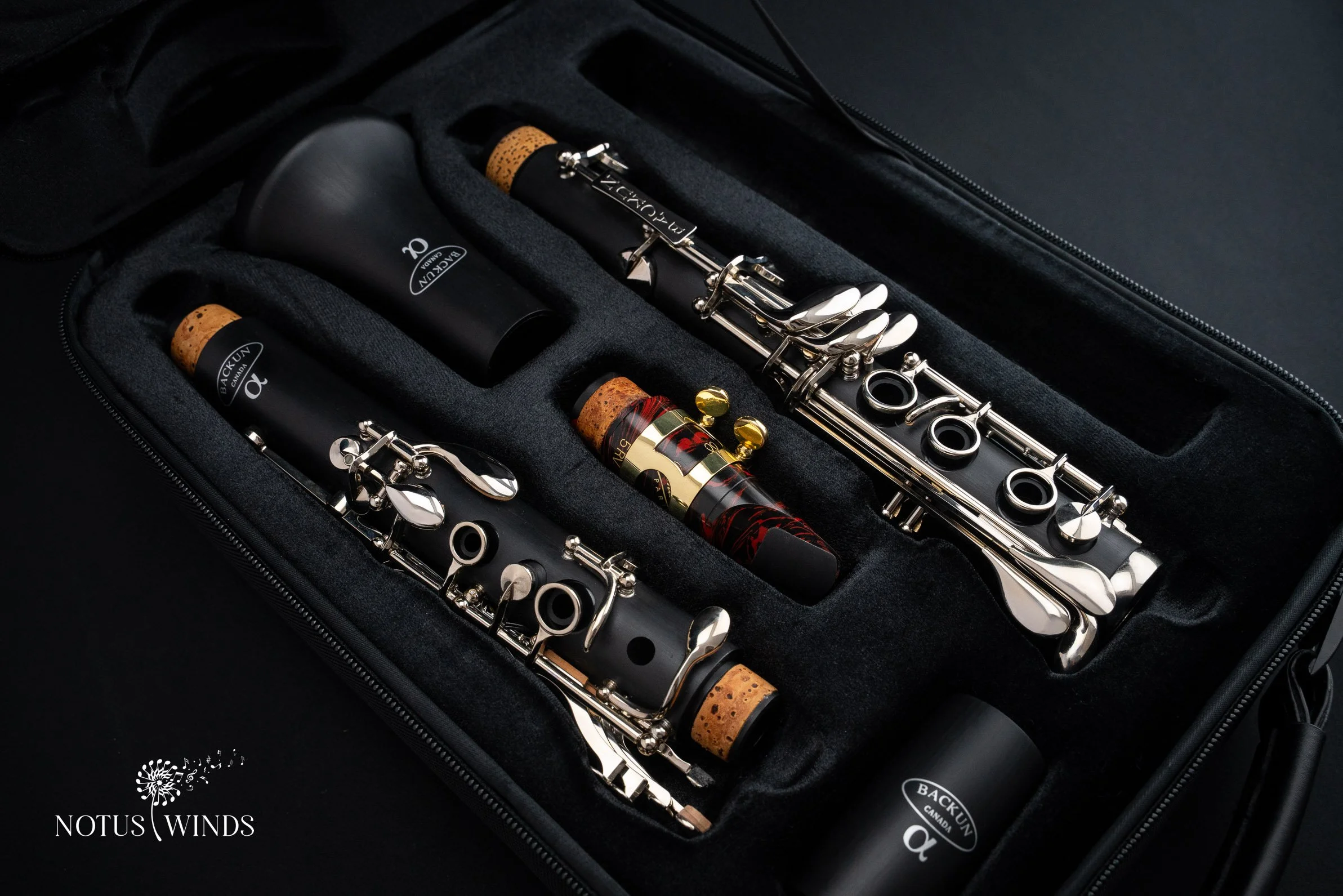 BACKUN Student Clarinet | Alpha Bb (Pre-Owned)