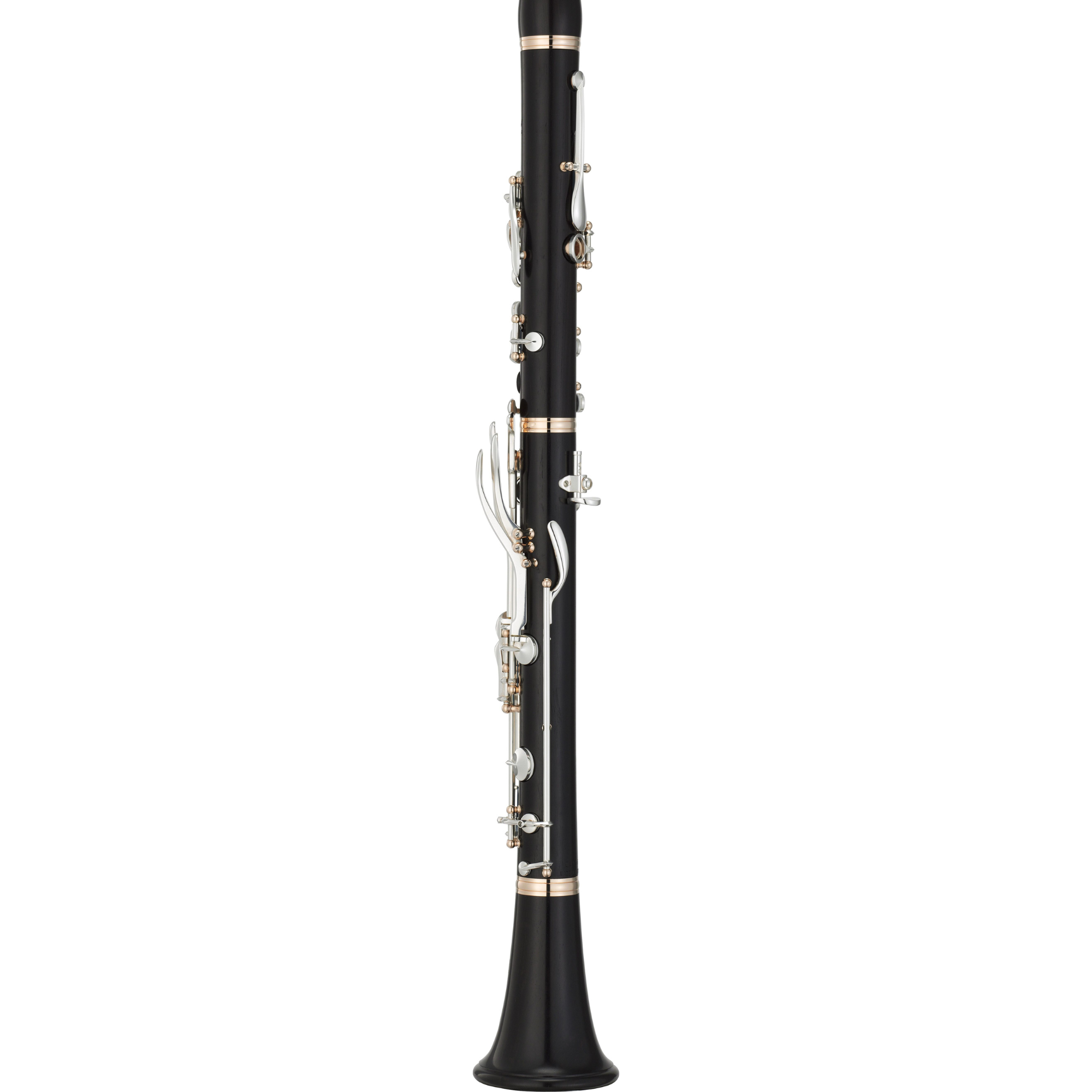 YCL-SE Artist (Back).png