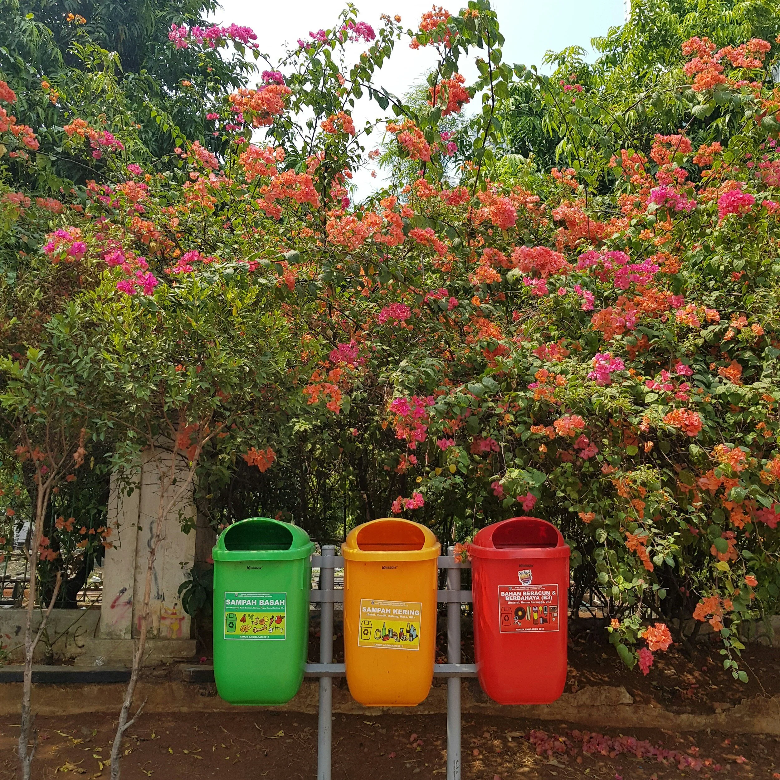 "Reduce, Reuse… Compost" by Catie