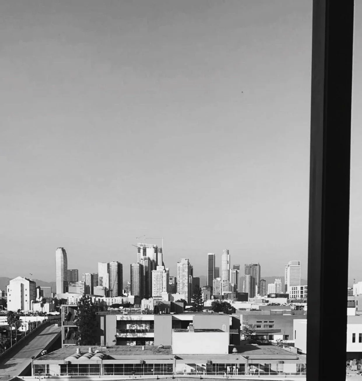 Elevator Views of DTLA
