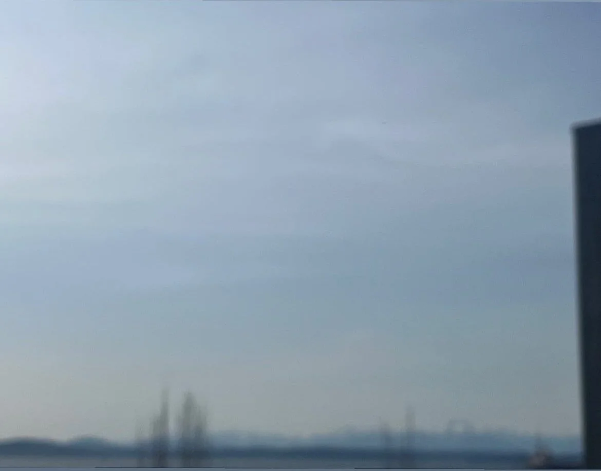 Washington, Blurred