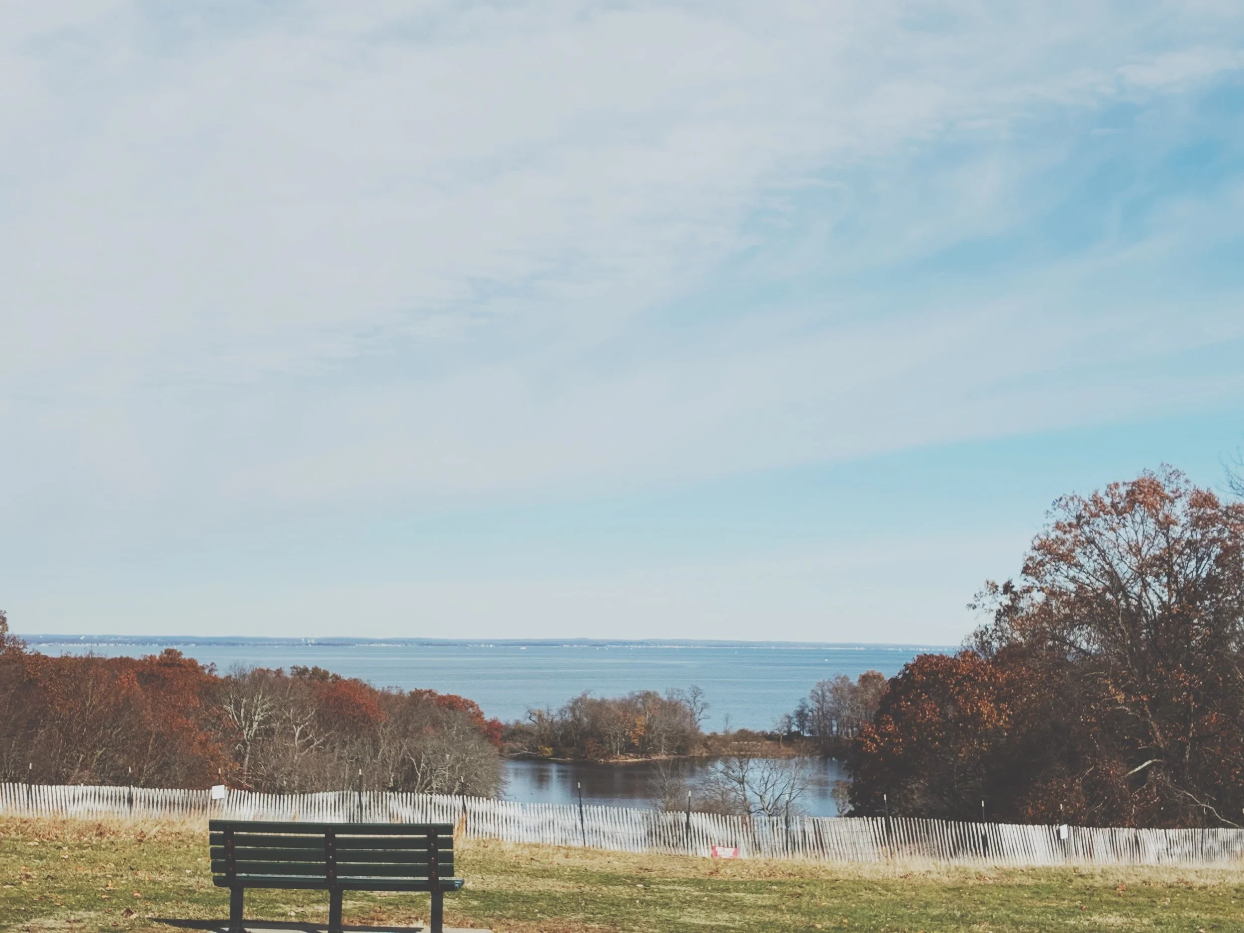Park Bench