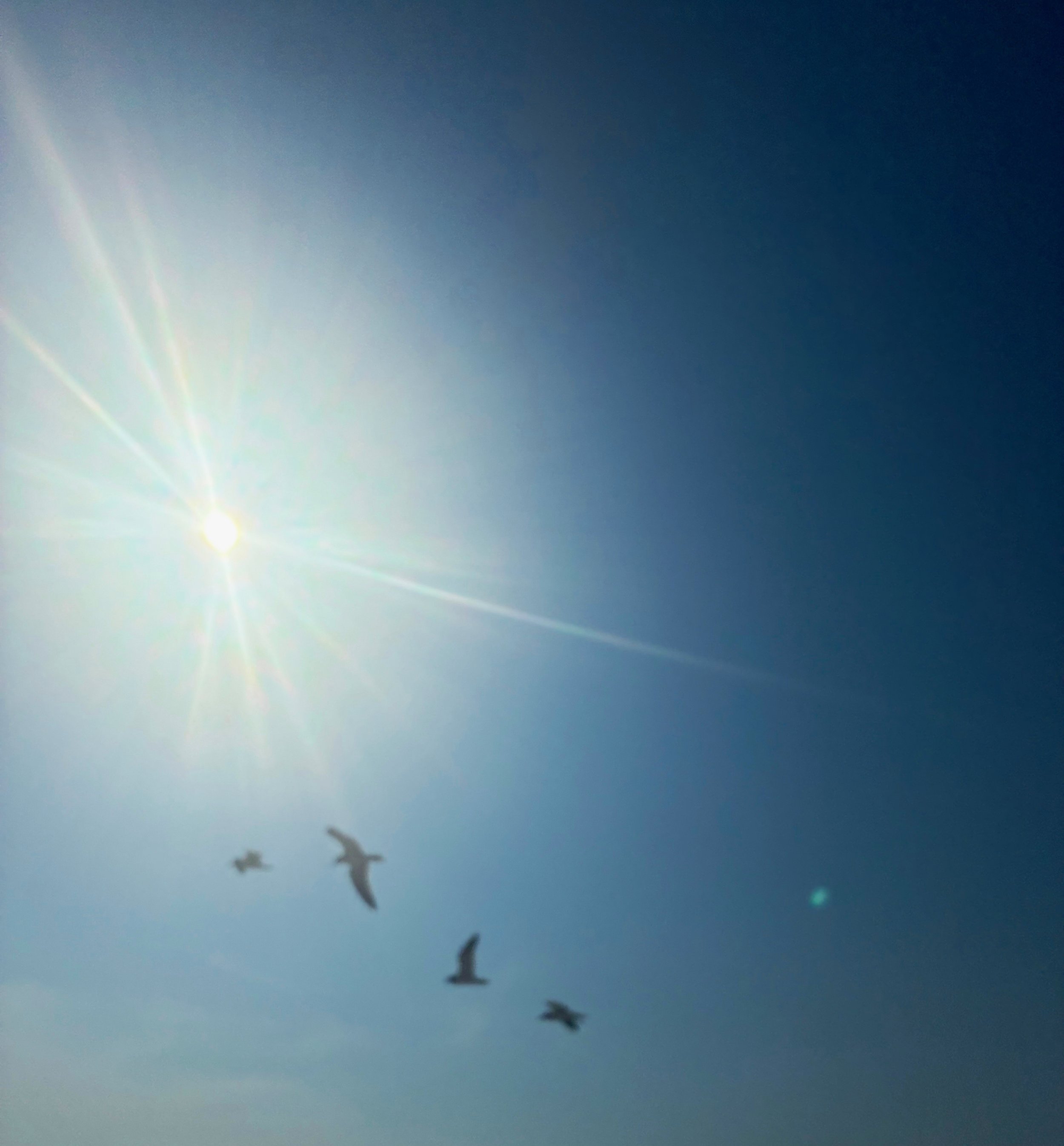Close to the Sun