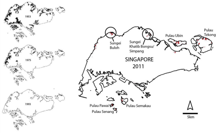 Image Result For The Mangroves Of The Southern Islands Singapore Image Result For The Mangroves Of The Southern Islands Singapore