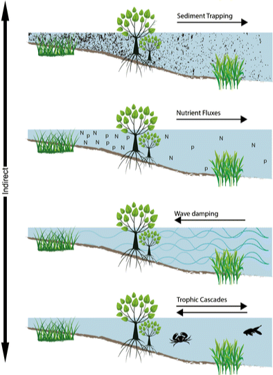 The failure of simplified models