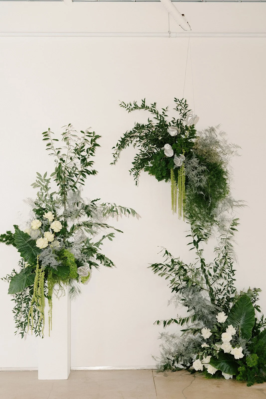 DCO _ Open House _ AV - 35_websize.jpg