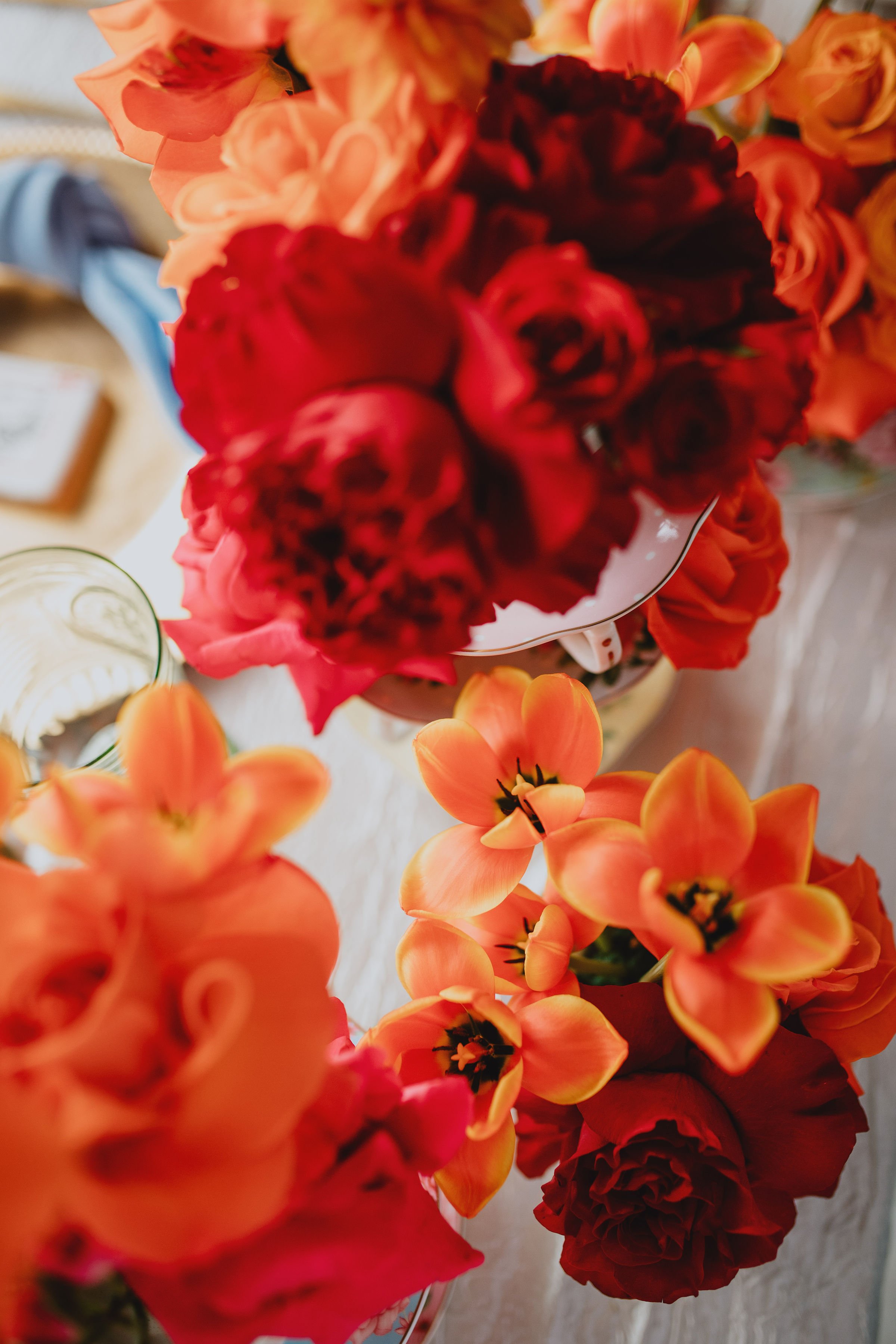 orange and red flowers